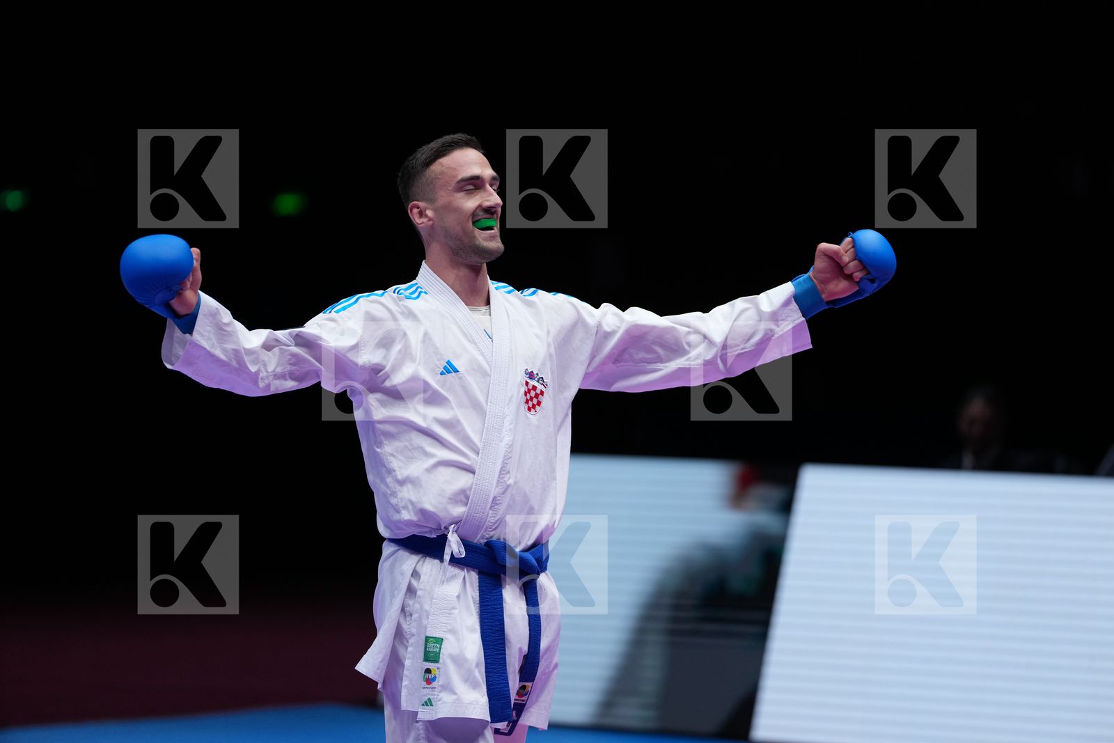 CHOBOTAR VALERII (UKRAINE) vs KVESIC IVAN (CROATIA) in Male Kumite -84 Kg - Final Bout