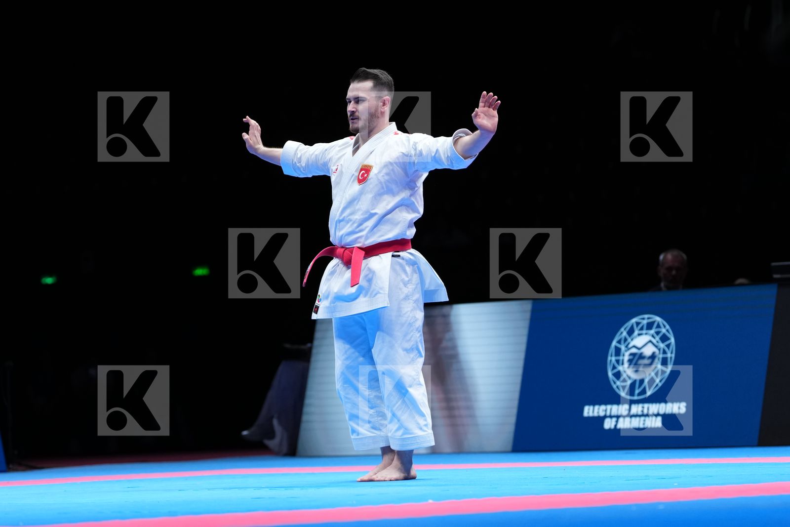 OZDEMIR ENES (TURKIYE) in Male Kata - Final Bout