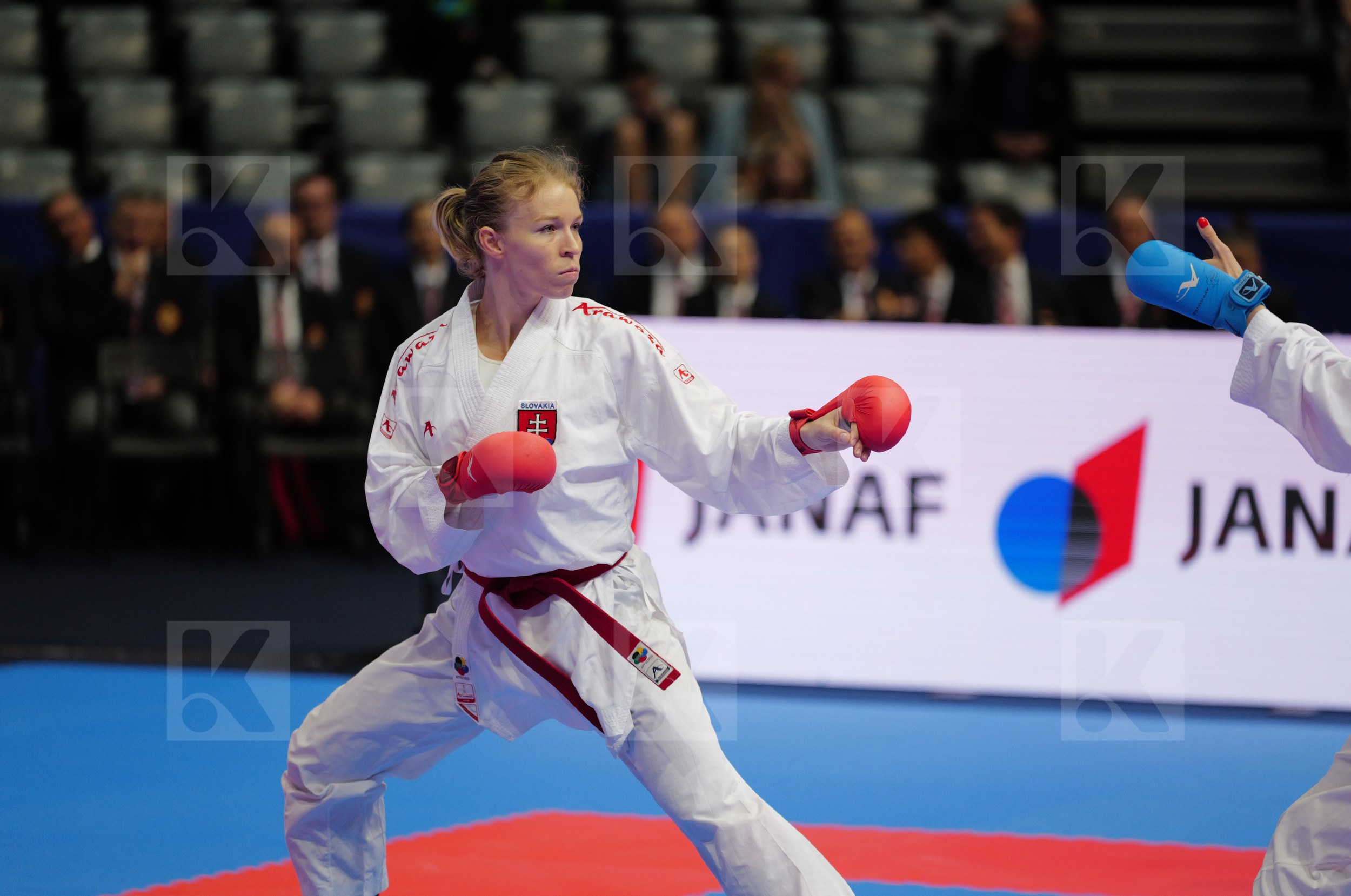 BAKOS SUCHANKOVA INGRIDA (SLOVAKIA) vs TOPALOVIC LEJLA (AUSTRIA) in Female Kumite -61 Kg - Final bout