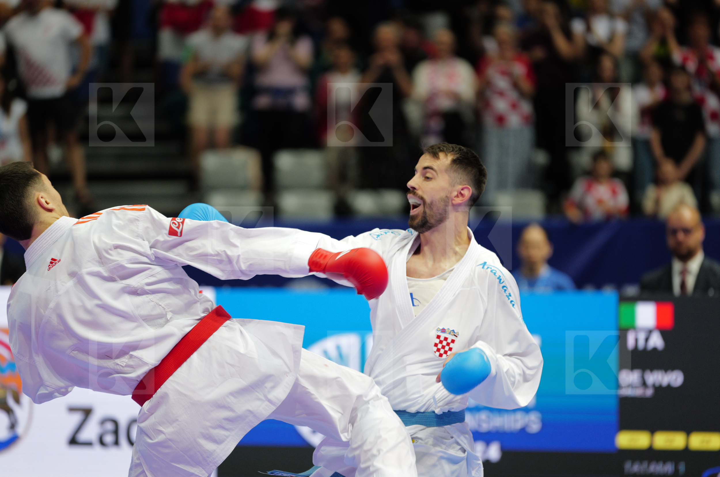 DE VIVO DANIELE (ITALY) vs MARTINAC IVAN (CROATIA) in Male Kumite -75 Kg - Final bout