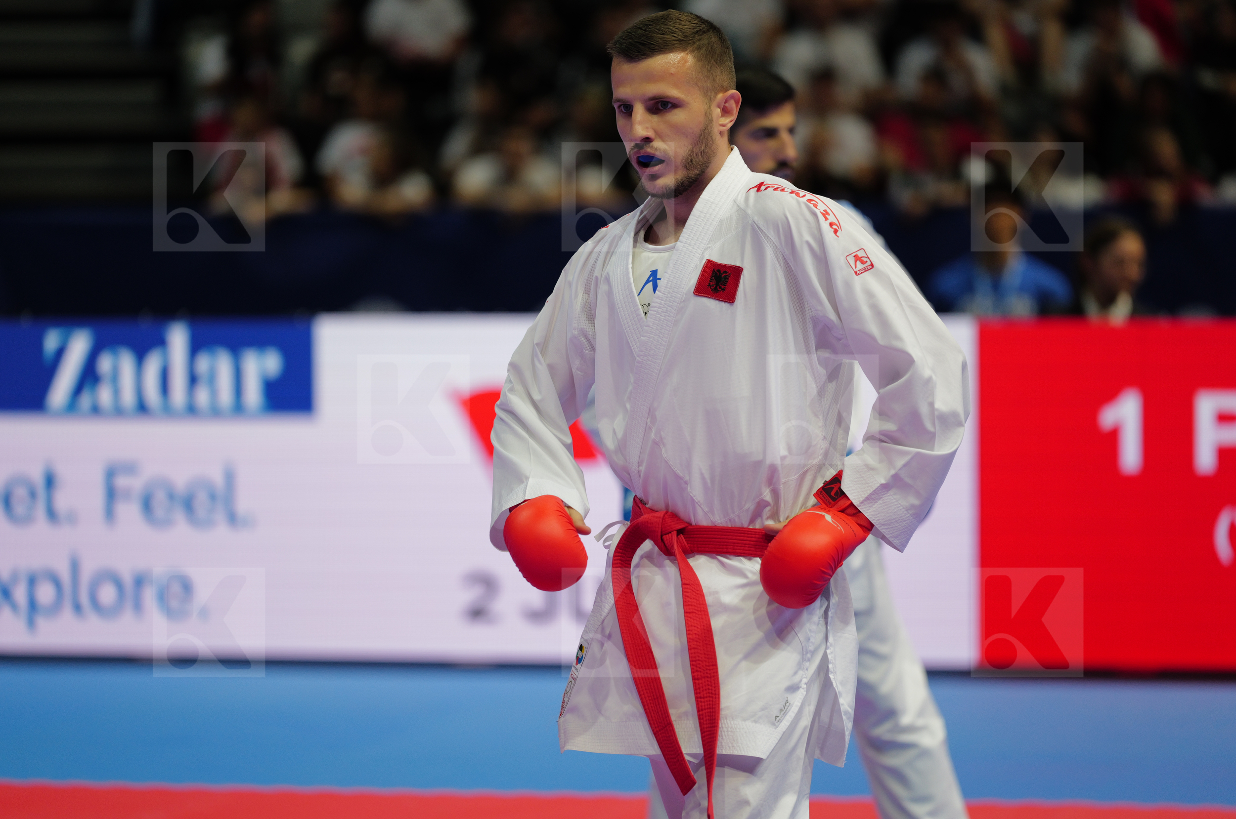 ARIFI ORGES (ALBANIA) vs XENOS CHRISTOS-STEFANOS (GREECE) in Male Kumite -60 Kg - Final bout
