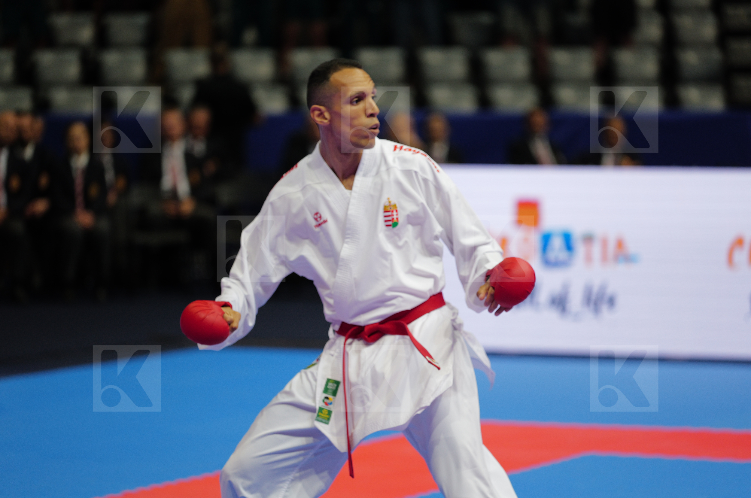 TADISSI YVES MARTIAL (HUNGARY) vs DULOVIC NENAD (MONTENEGRO) in Male Kumite -67 Kg - Final bout