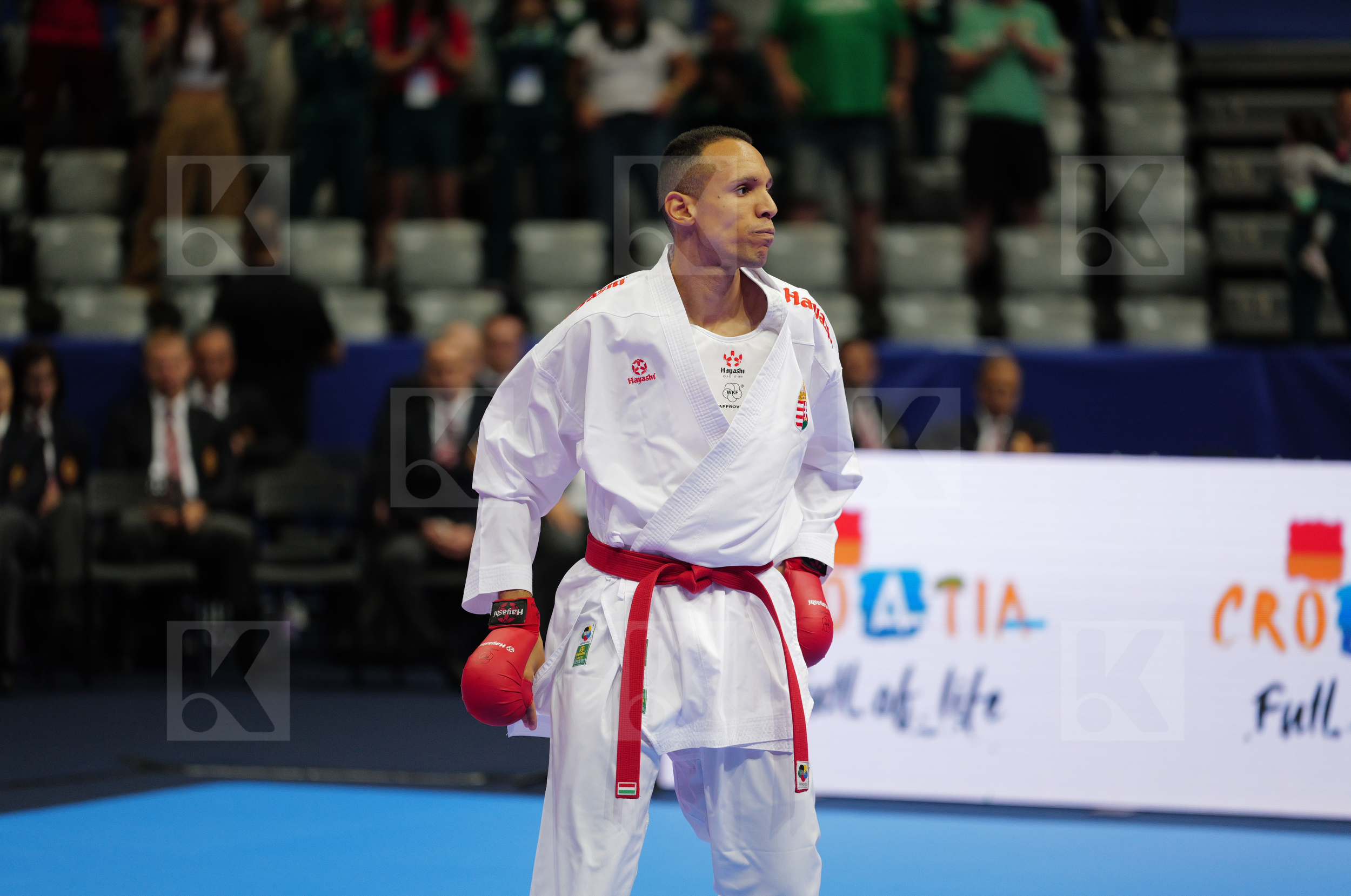 TADISSI YVES MARTIAL (HUNGARY) vs DULOVIC NENAD (MONTENEGRO) in Male Kumite -67 Kg - Final bout