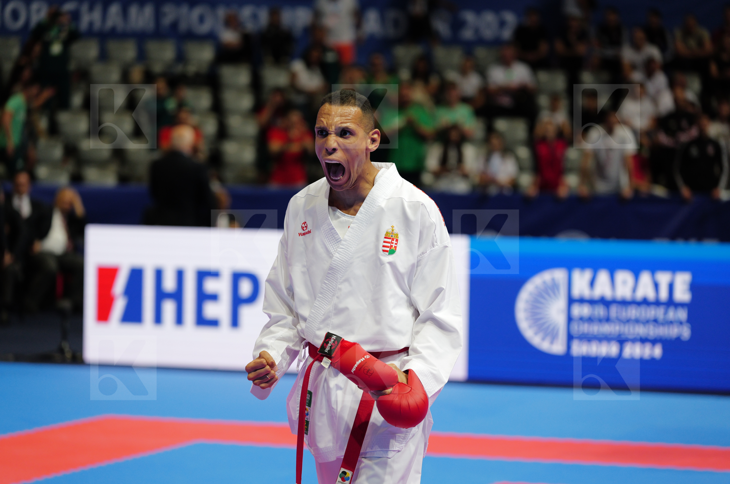 TADISSI YVES MARTIAL (HUNGARY) vs DULOVIC NENAD (MONTENEGRO) in Male Kumite -67 Kg - Final bout
