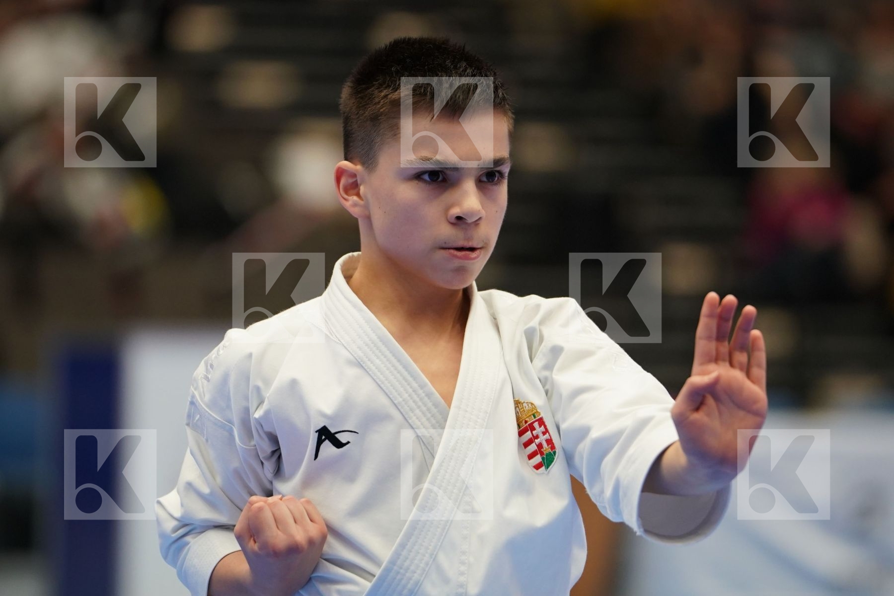 BARDOS ADAM (HUNGARY) in Cadet Kata Male - Final bout