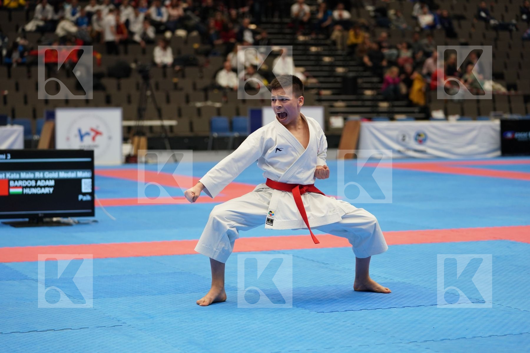 BARDOS ADAM (HUNGARY) in Cadet Kata Male - Final bout