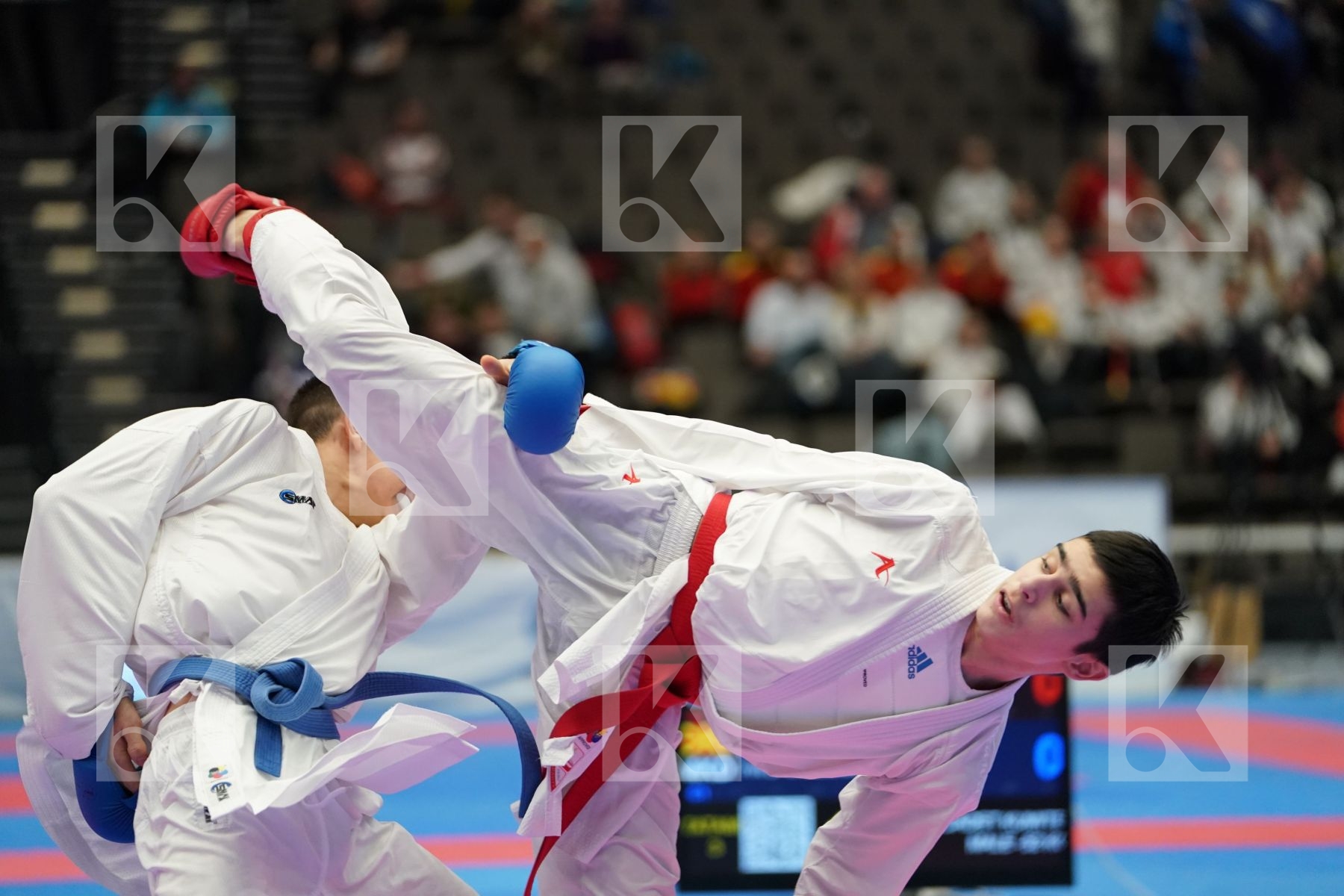 AKHMEDOV AKHMED (RUSSIAN FEDERATION) vs KOSTOV BOJAN (FYR OF MACEDONIA) in Cadet Kumite Male -52 Kg - Final bout