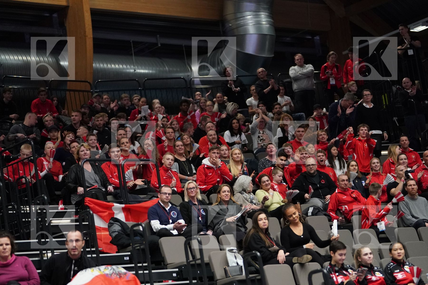 Denmark Supporters during Final bout