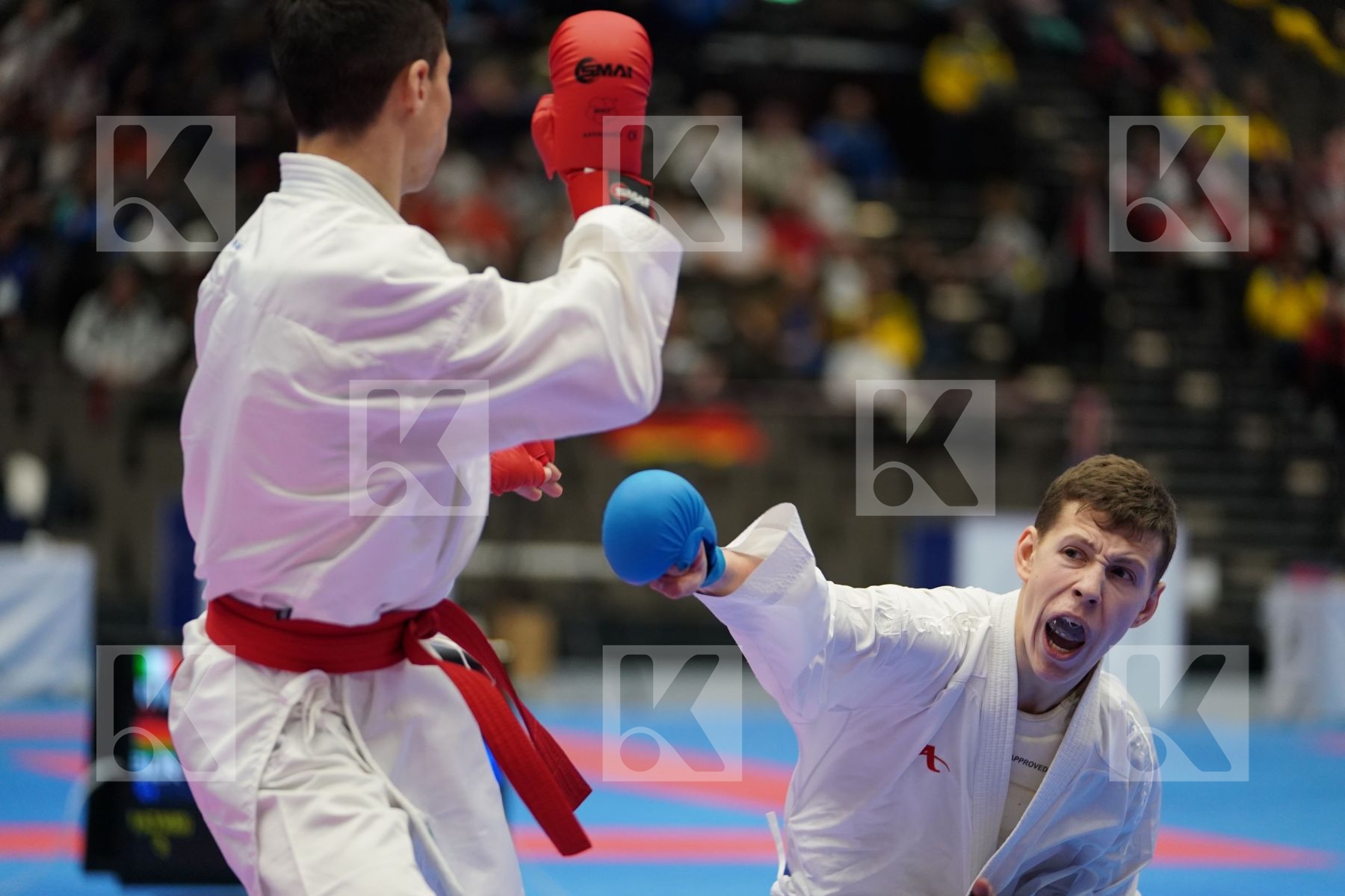 LUCIANO CARMINE (ITALY) vs RASHETNIK MIKITA (BELARUS) in Junior Kumite Male Ð 55 Kg - Final bout