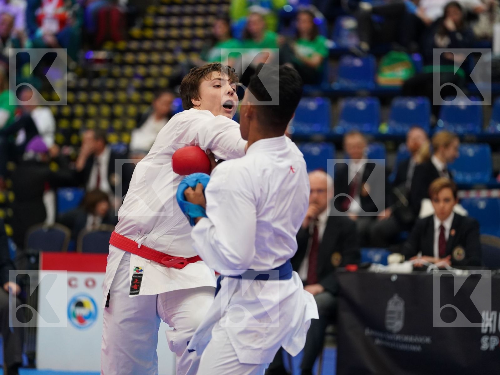 ELIAS MARTIN (CZECH REPUBLIC) vs MOISE LEONARD (ROMANIA) in Cadet Kumite Male 70+ Kg - Final bout