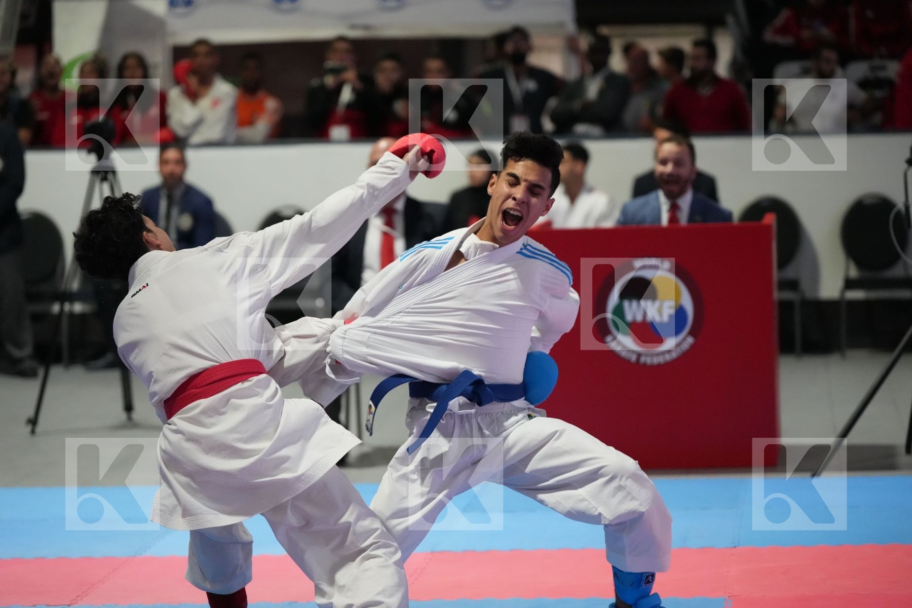 Kumite final bout featuring MOHAMED HANY NASSER & IHEB  FERCHICHI