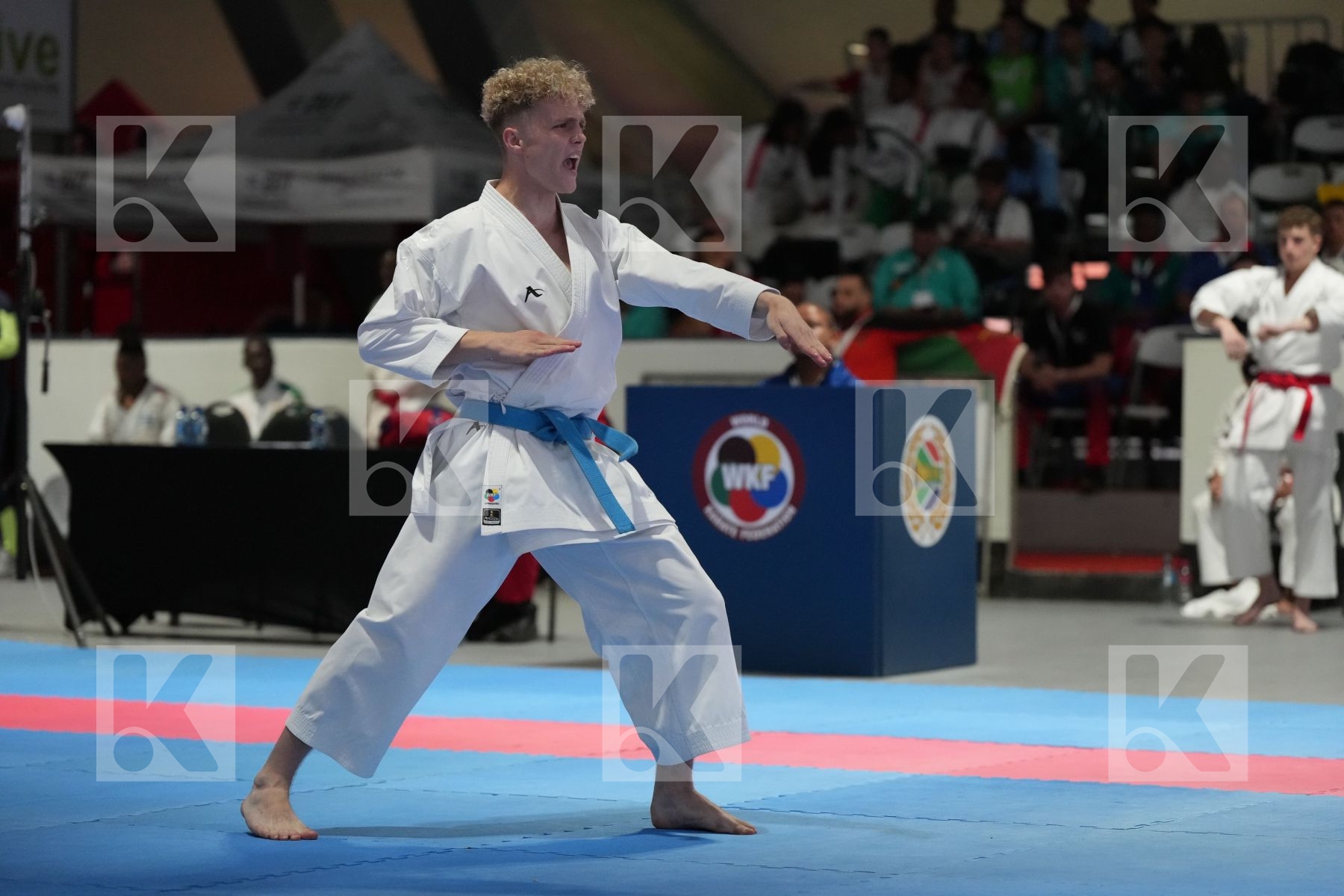 Kata bronze bout featuring JUSTIN SCHOLTZ