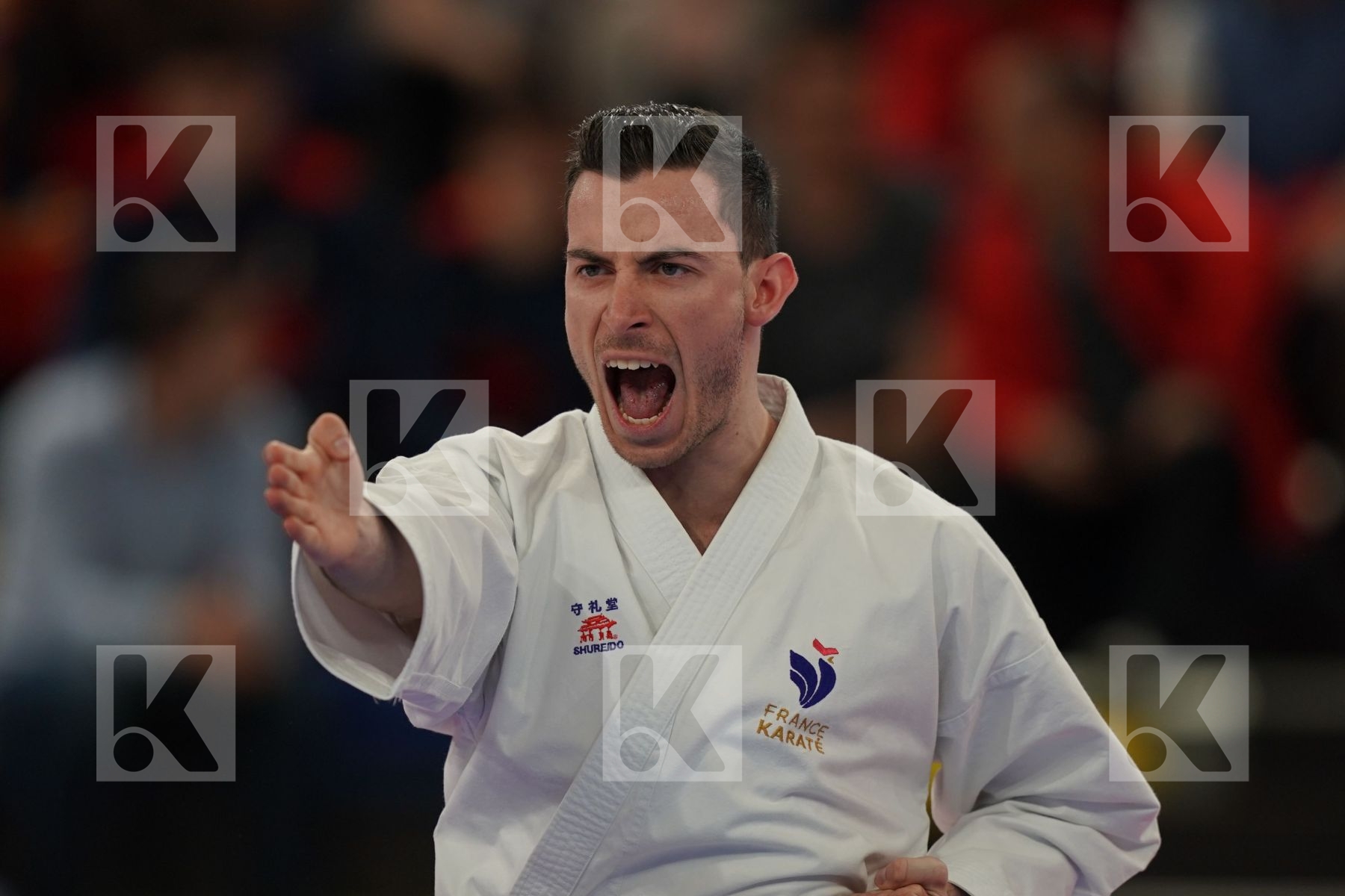 MONTARELLO ENZO (FRANCE) in Senior Male Kata - Bronze bout
