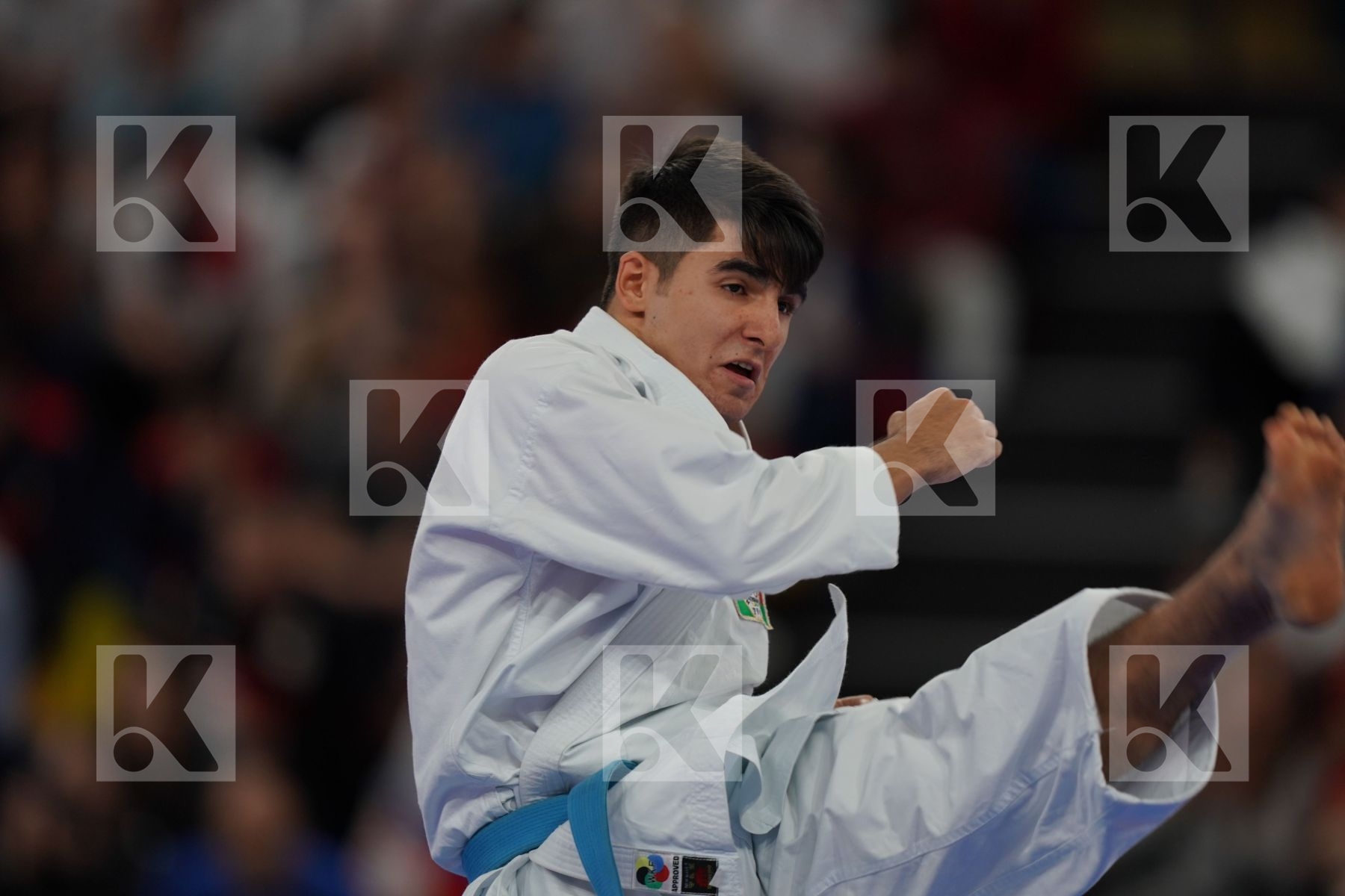 HEYDAROV ROMAN (AZERBAIJAN) in Senior Male Kata - Bronze bout