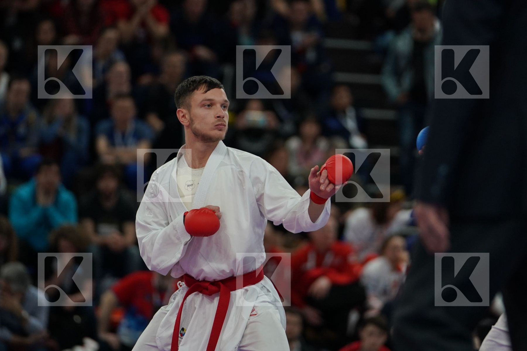 GOGOLOSI BOGDAN MARIAN FLORIN (ROUMANIA) vs PAVLOV EMIL (MACEDONIA) in Senior Kumite -60 Kg - Bronze bout