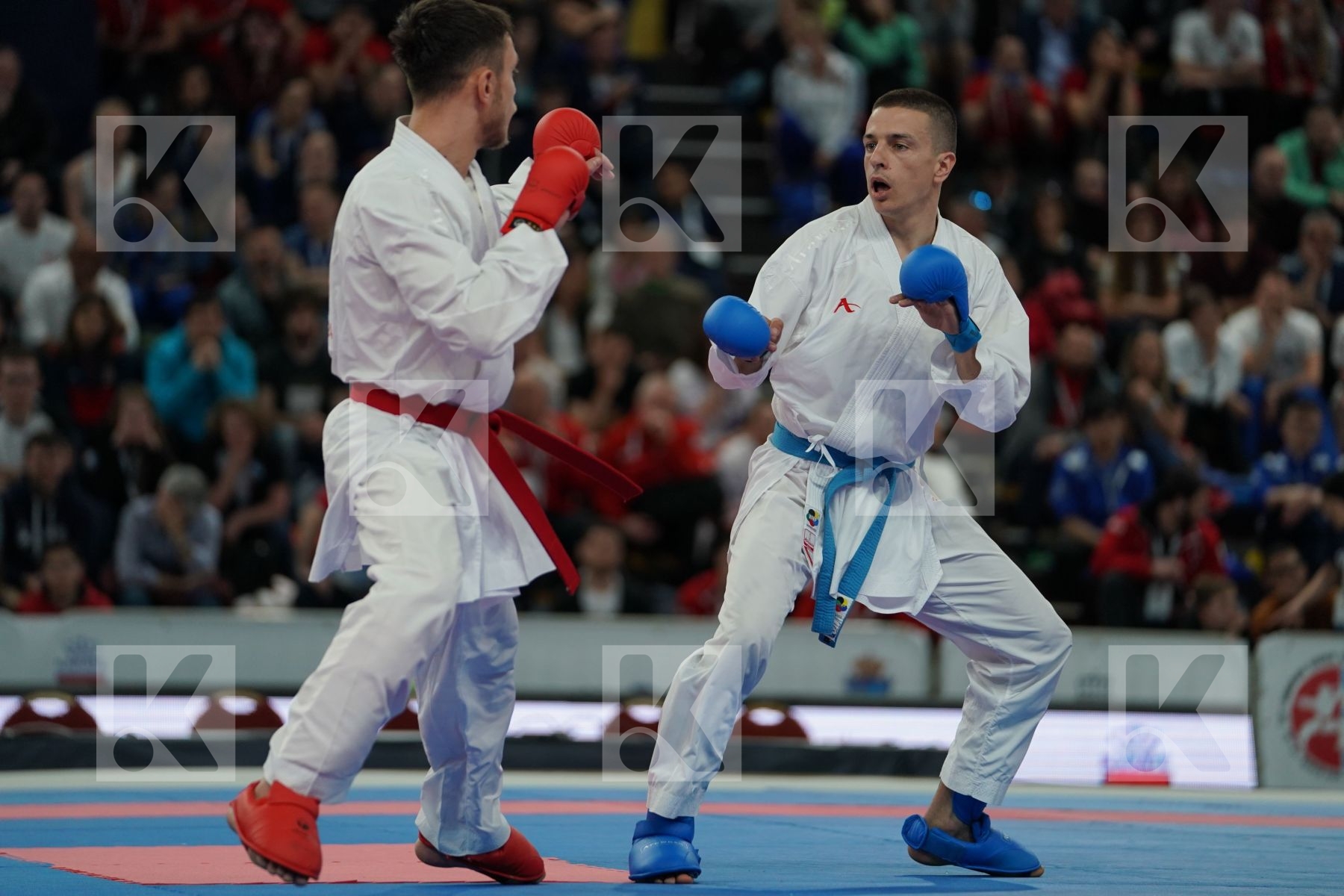 GOGOLOSI BOGDAN MARIAN FLORIN (ROUMANIA) vs PAVLOV EMIL (MACEDONIA) in Senior Kumite -60 Kg - Bronze bout