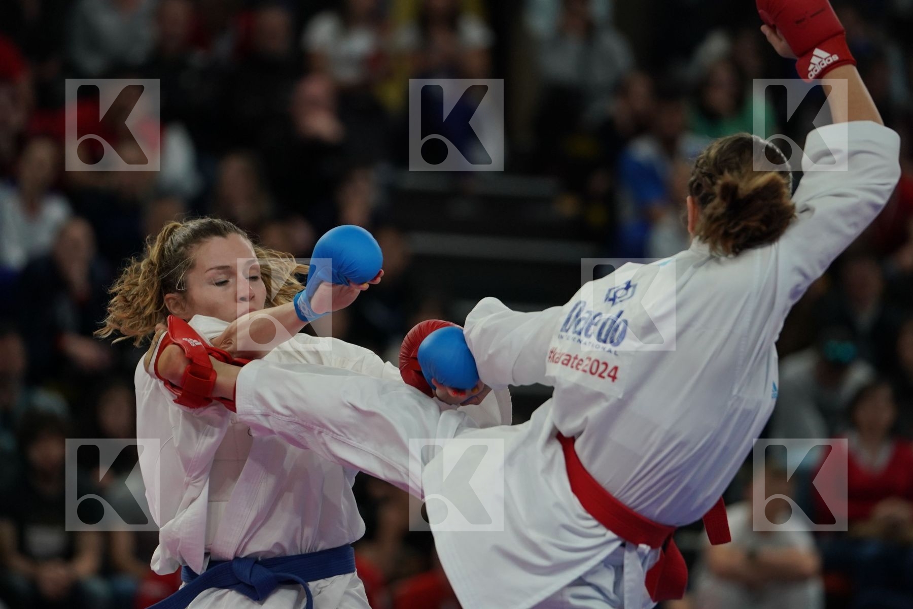 GERMANY vs ITALY in Senior Team Female Kumite - Bronze bout