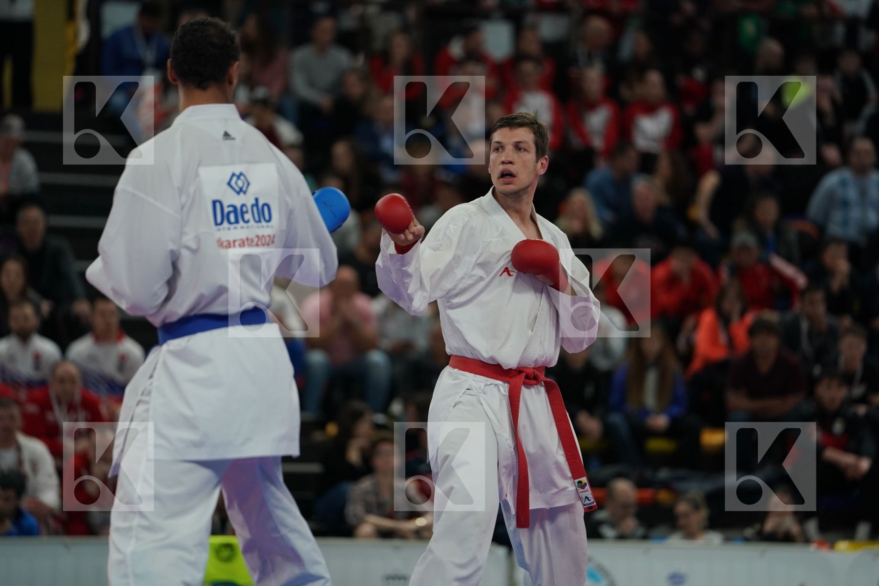 BITEVIC SLOBODAN (SERBIA) vs HORNE JONATHAN (GERMANY) in Senior Kumite 84+ Kg - Final bout