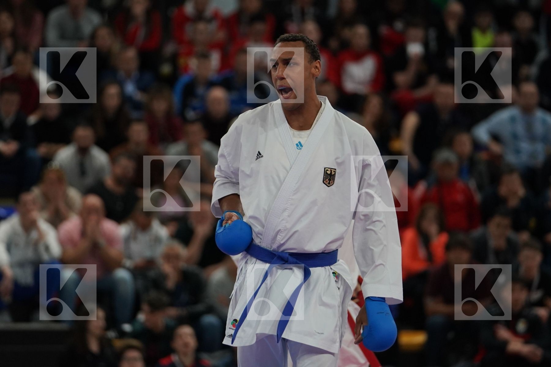 BITEVIC SLOBODAN (SERBIA) vs HORNE JONATHAN (GERMANY) in Senior Kumite 84+ Kg - Final bout
