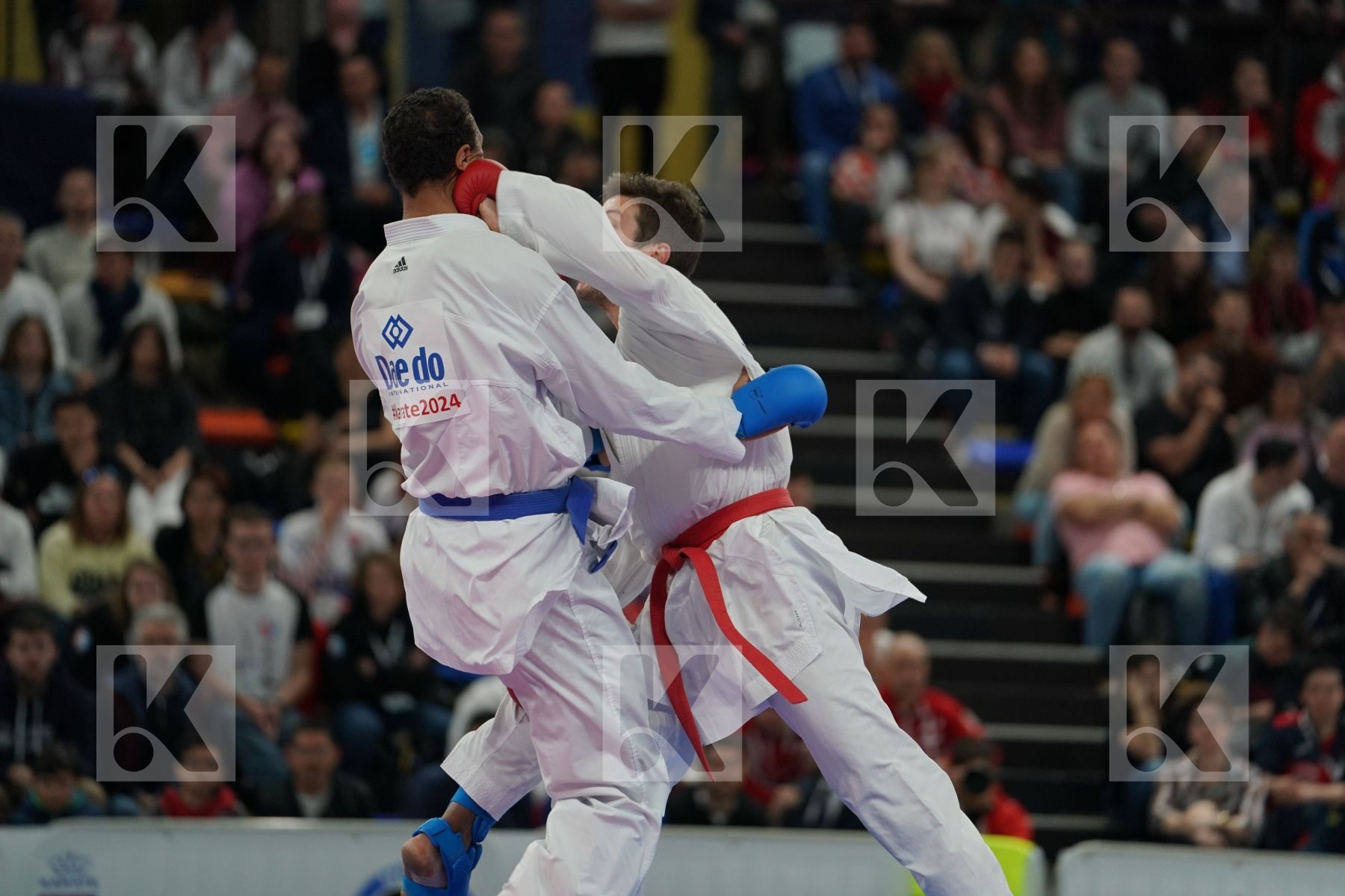 BITEVIC SLOBODAN (SERBIA) vs HORNE JONATHAN (GERMANY) in Senior Kumite 84+ Kg - Final bout