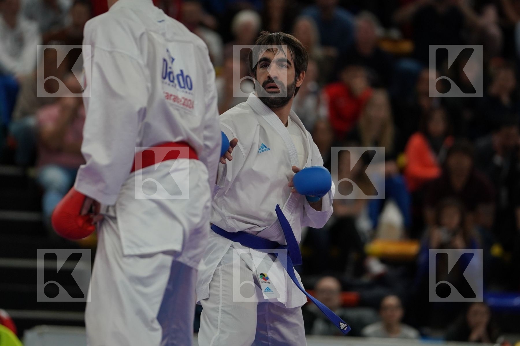 BUSA LUIGI (ITALY) vs AGHAYEV RAFAEL (AZERBAIJAN) in Senior Kumite -75 Kg - Final bout