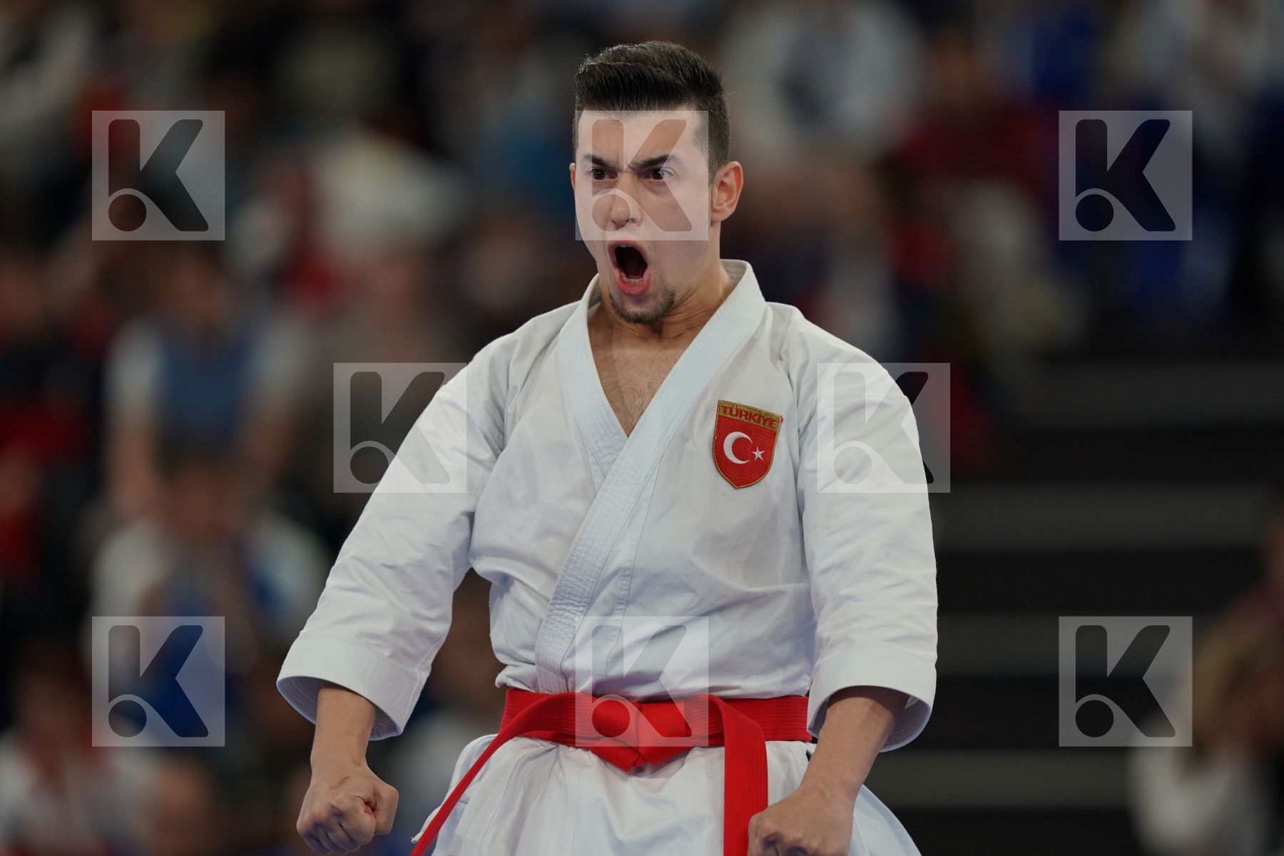 SOFUOGLU ALI (TURKEY) in Senior Male Kata - Final bout