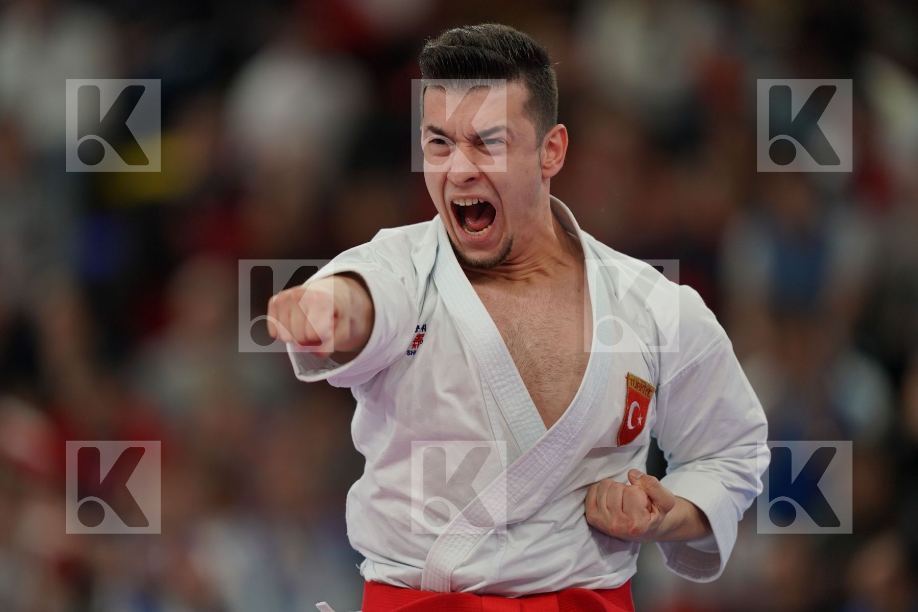 SOFUOGLU ALI (TURKEY) in Senior Male Kata - Final bout