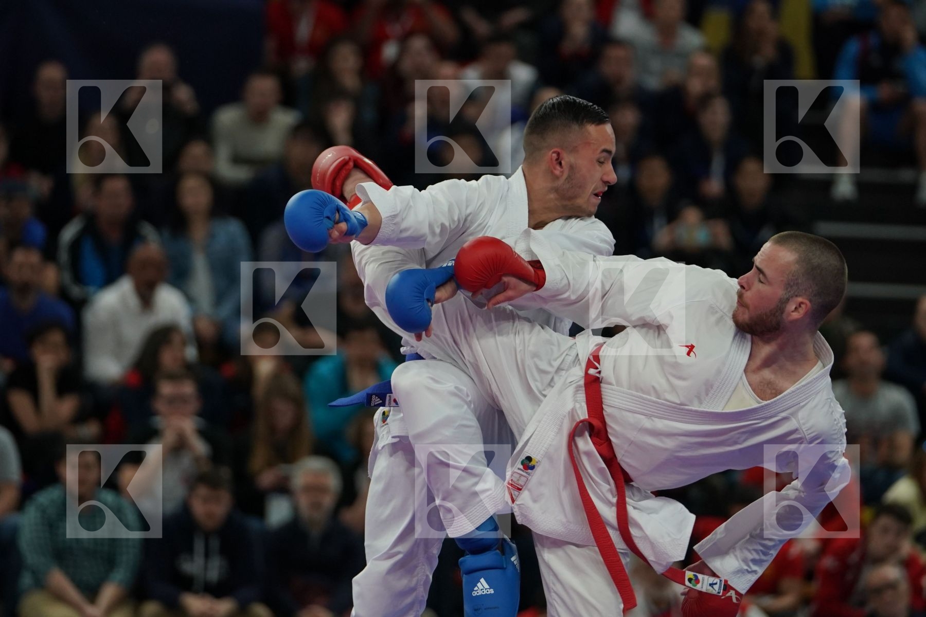 HODZIC MARIO (MONTENEGRO) vs DACOSTA STEVEN (FRANCE) in Senior Kumite -67 Kg - Final bout