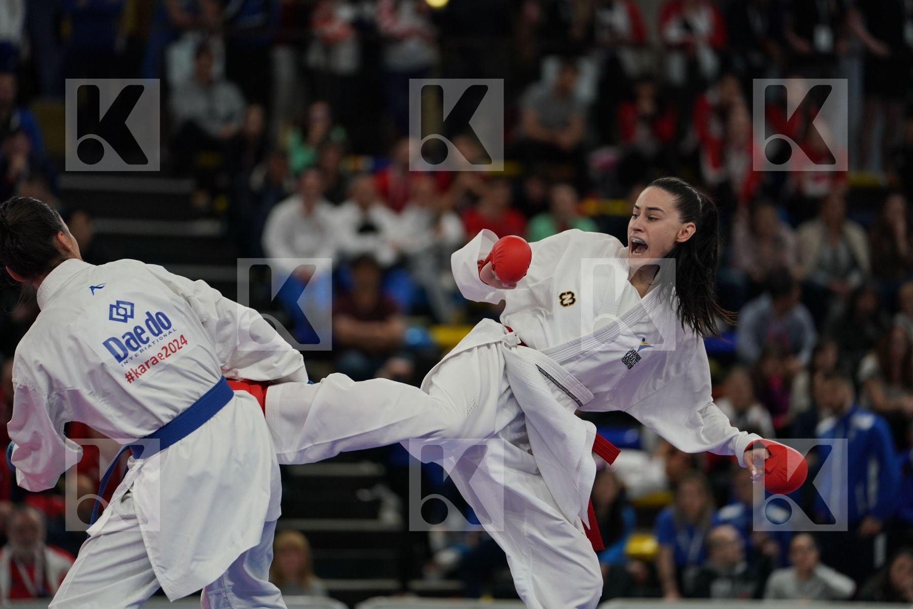 UKRAINE vs TURKEY in Senior Team Female Kumite - Final bout