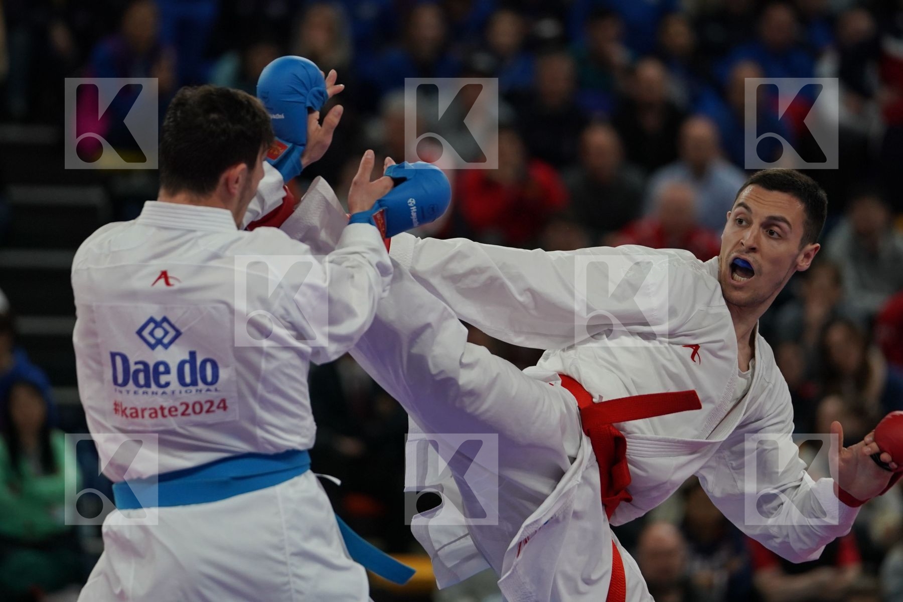 SERBIA vs TURKEY in Senior Team Male Kumite - Final bout