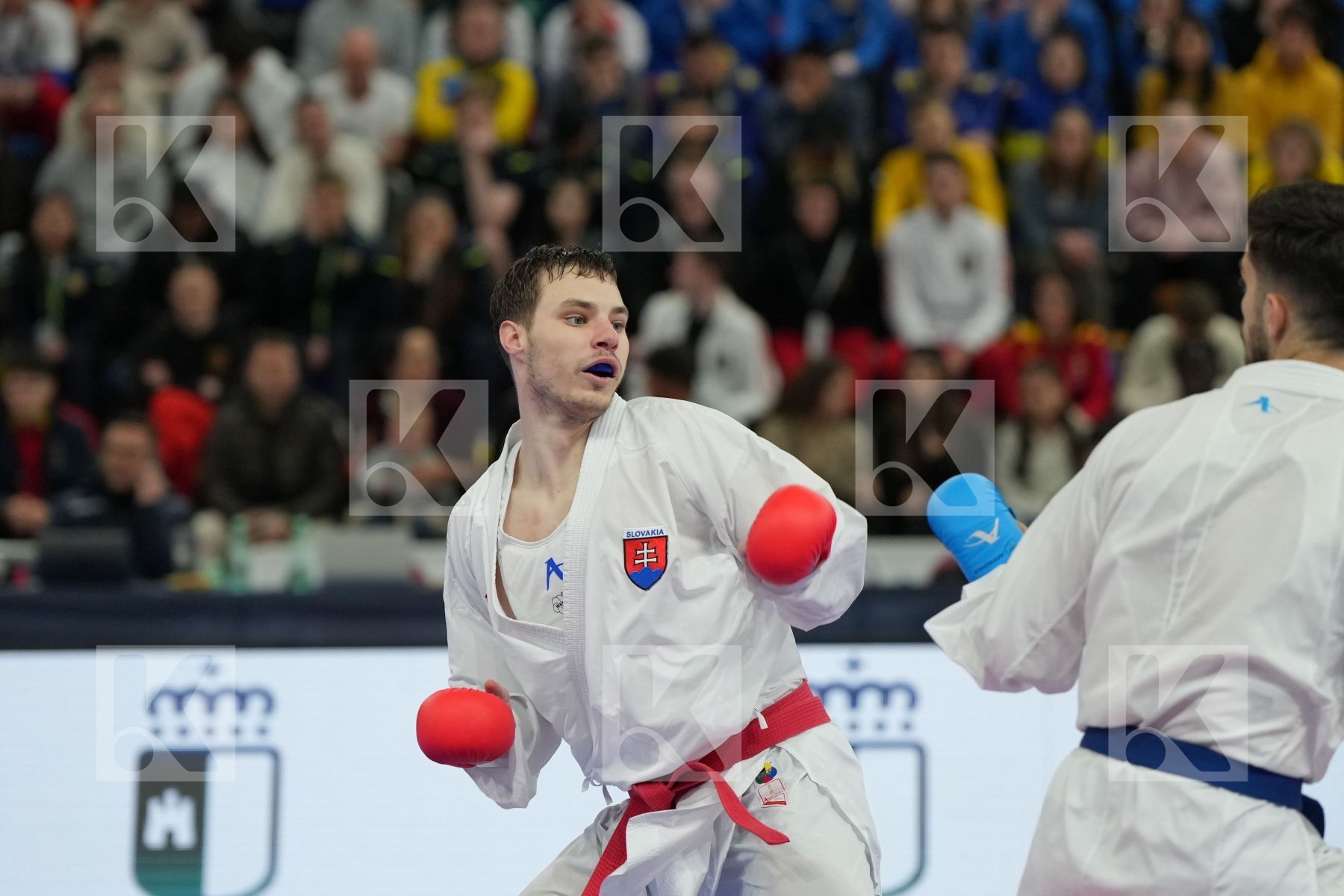 GYURIK ADI (SLOVAKIA) vs MASTROGIANNIS KONSTANTINOS (GREECE) in Male Kumite -84 Kg - bronze bout