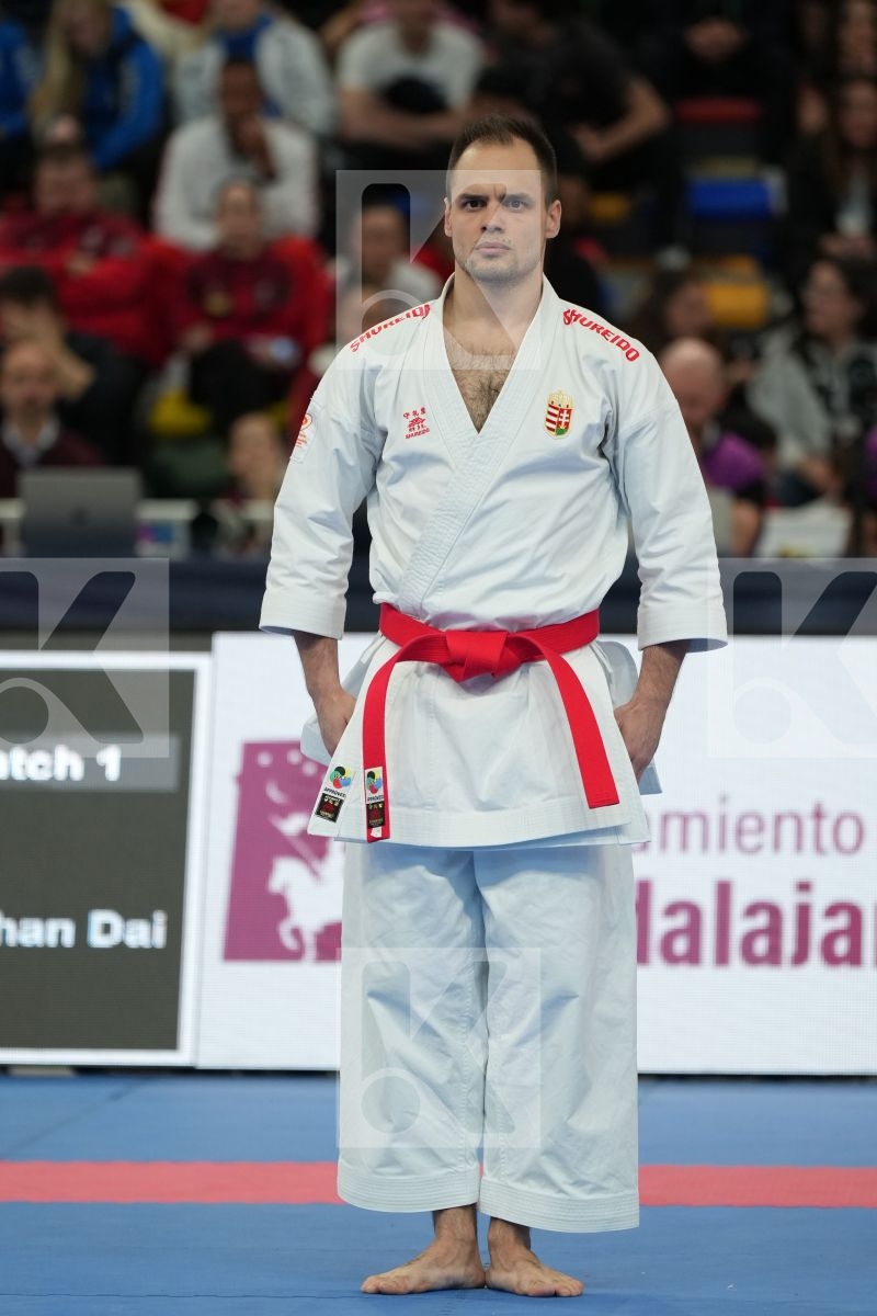 NAGY BOTOND (HUNGARY) in Male Kata - bronze bout