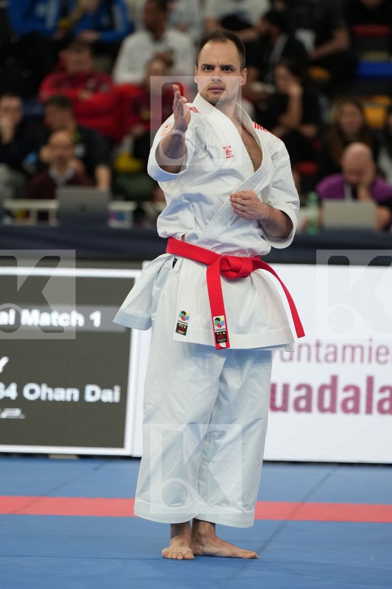 NAGY BOTOND (HUNGARY) in Male Kata - bronze bout
