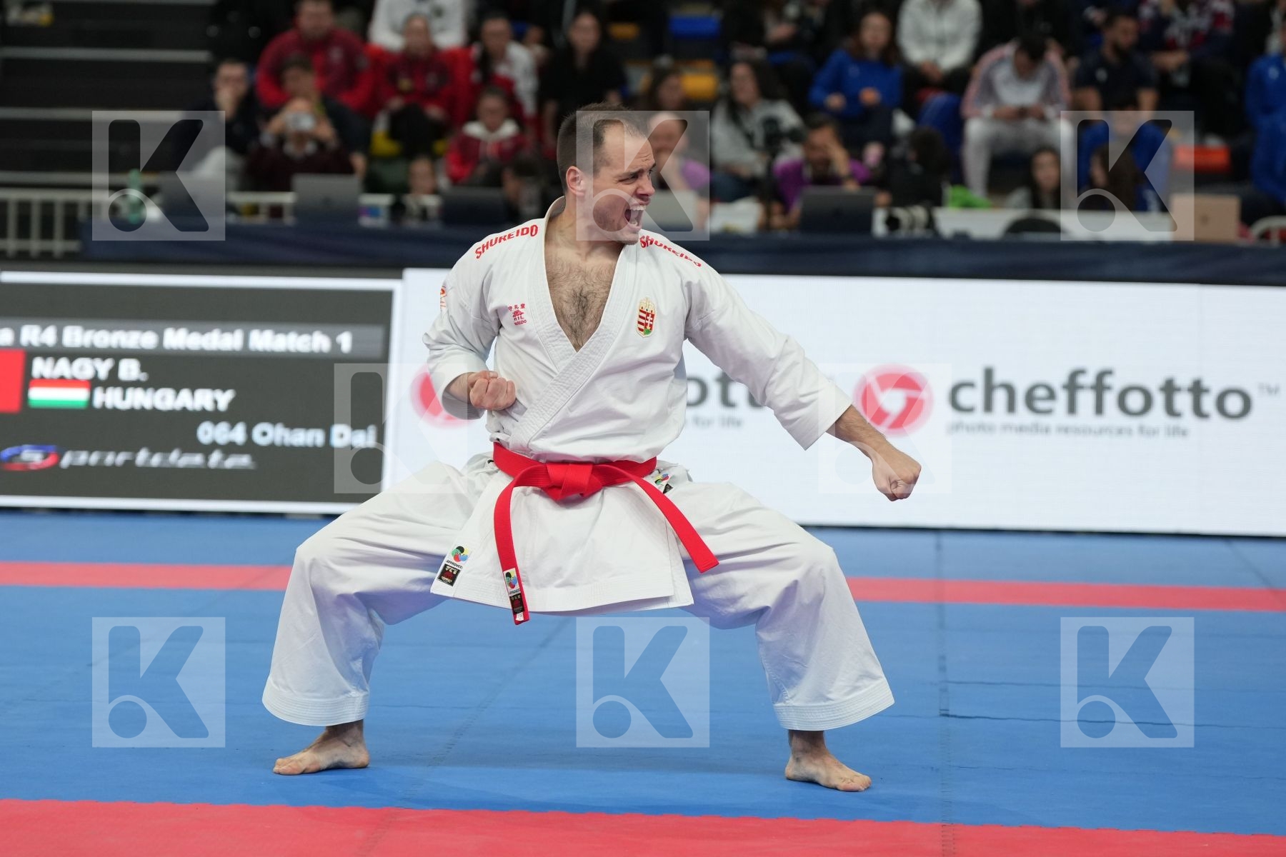 NAGY BOTOND (HUNGARY) in Male Kata - bronze bout