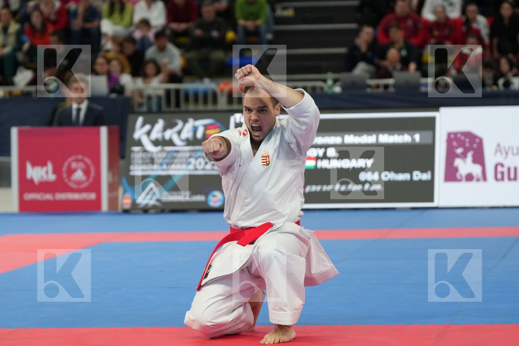 NAGY BOTOND (HUNGARY) in Male Kata - bronze bout