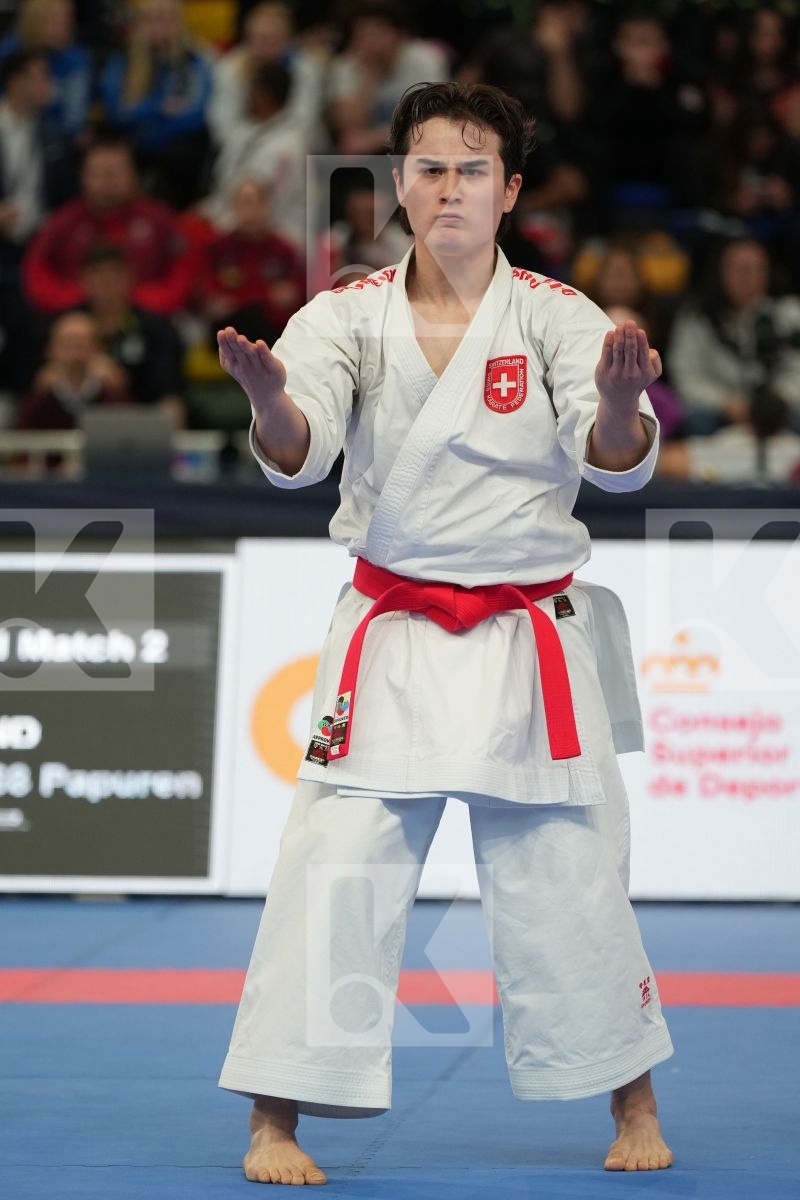 UJIHARA YUKI (SWITZERLAND) in Male Kata - bronze bout