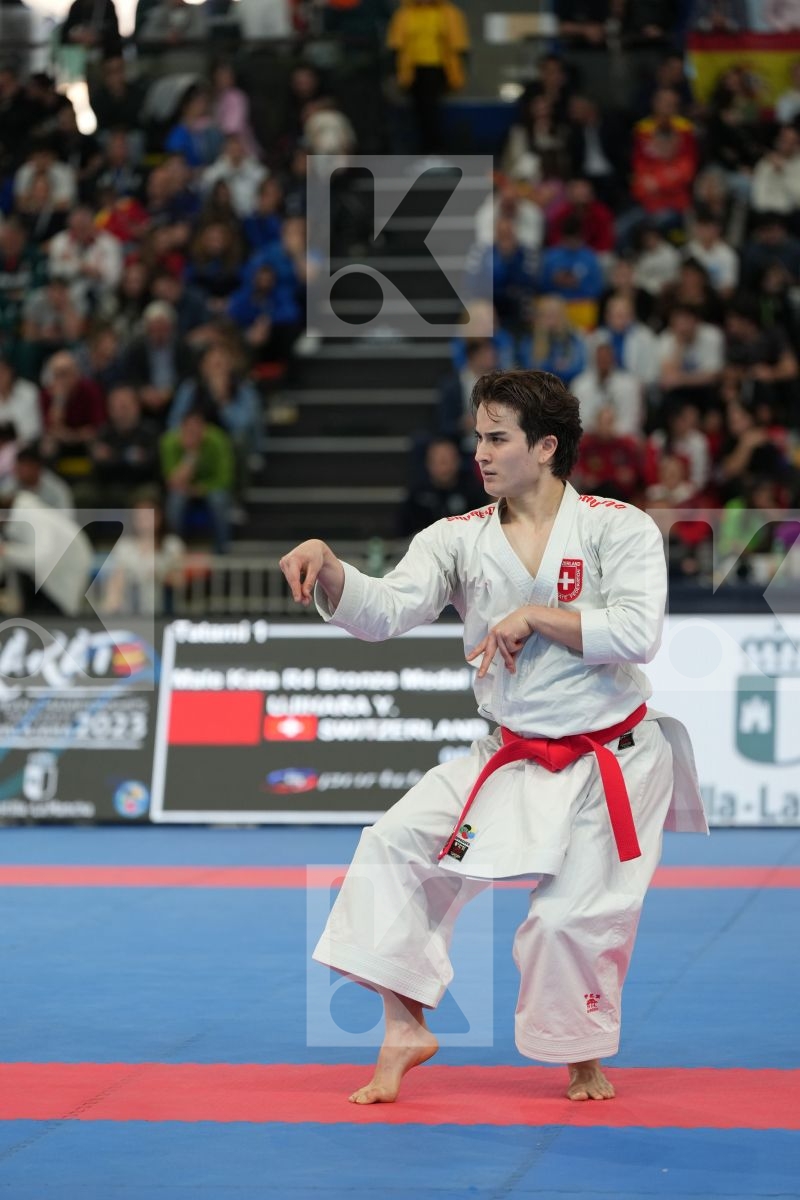 UJIHARA YUKI (SWITZERLAND) in Male Kata - bronze bout