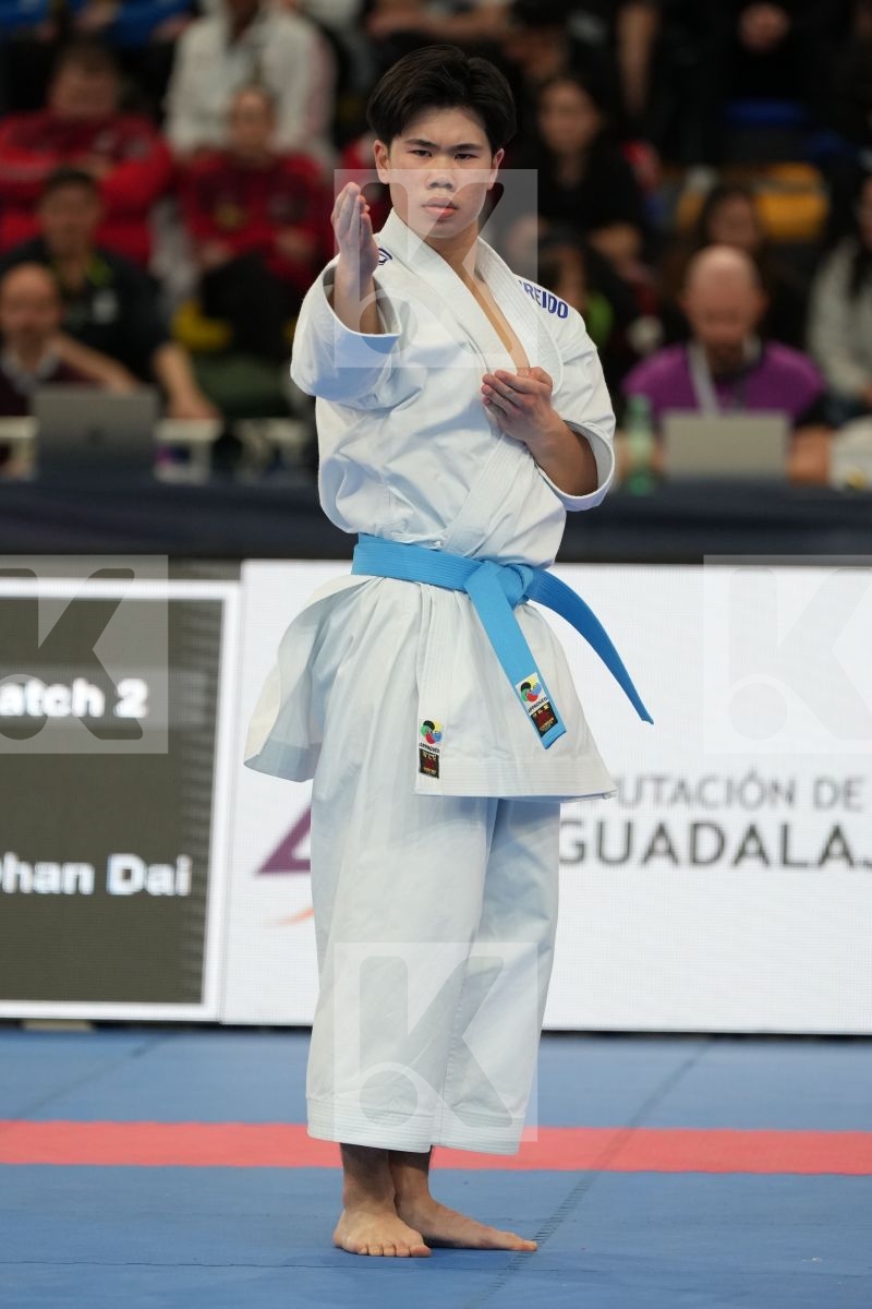VU ANTHONY (SWEDEN) in Male Kata - bronze bout