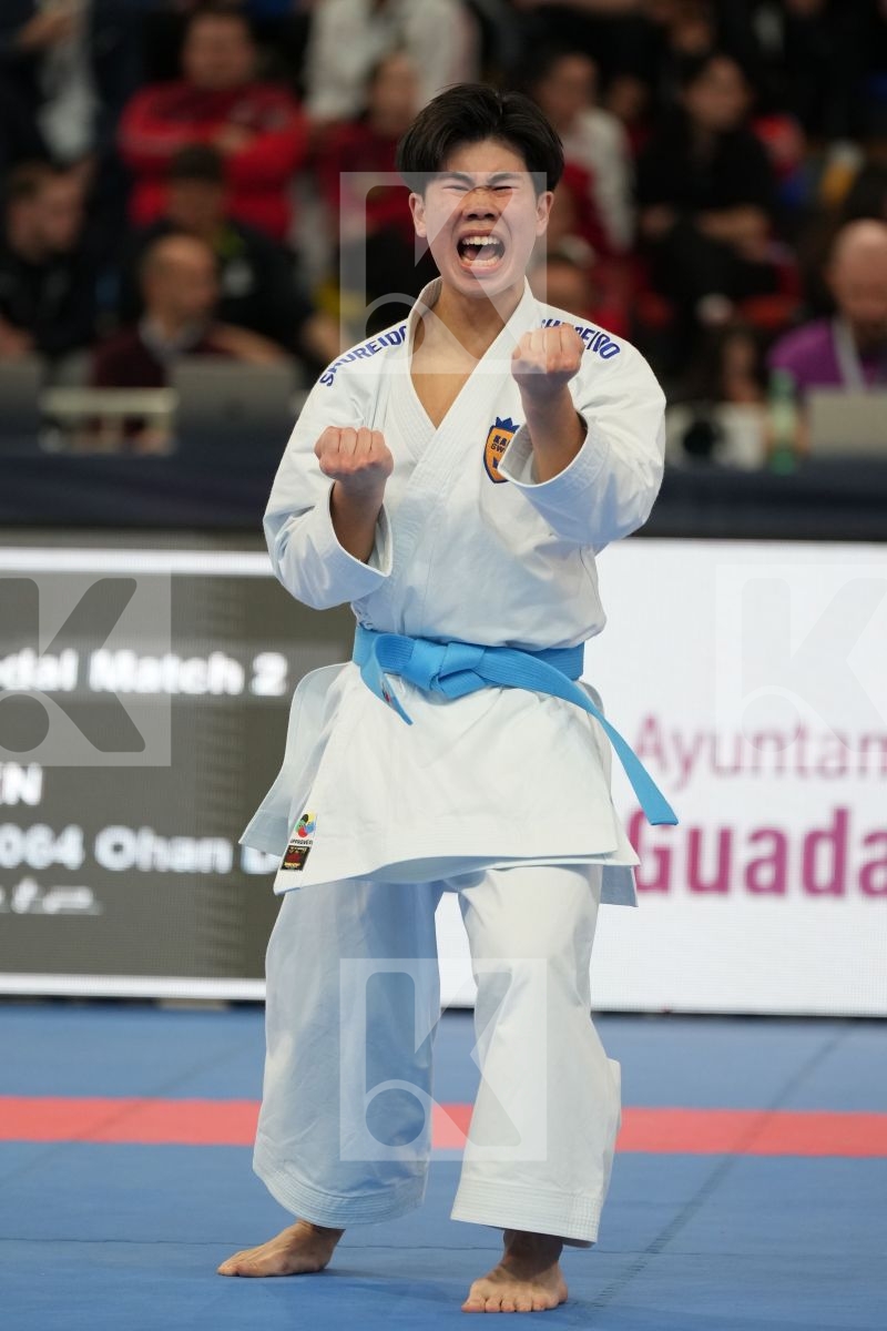 VU ANTHONY (SWEDEN) in Male Kata - bronze bout