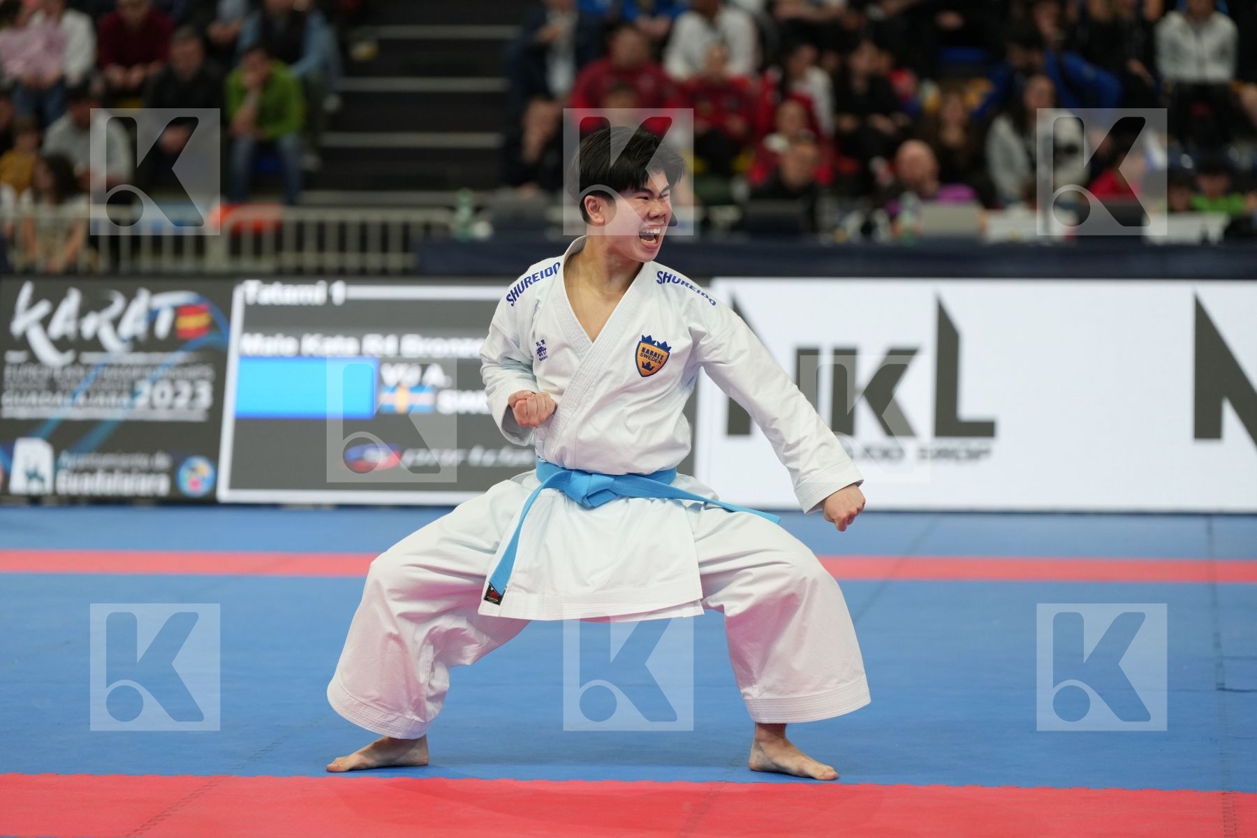 VU ANTHONY (SWEDEN) in Male Kata - bronze bout