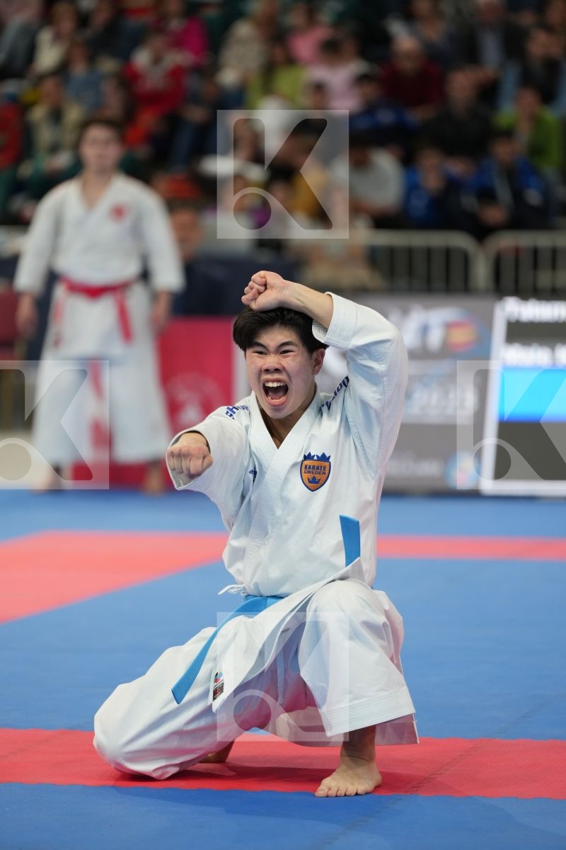 VU ANTHONY (SWEDEN) in Male Kata - bronze bout