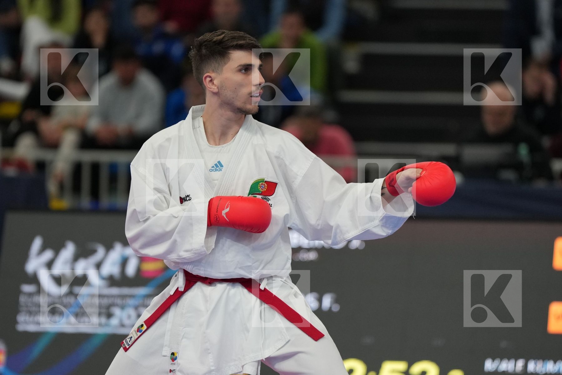 RIBEIRO JOAO (PORTUGAL) vs HAAS FLORIAN (GERMANY) in Male Kumite -60 Kg - bronze bout