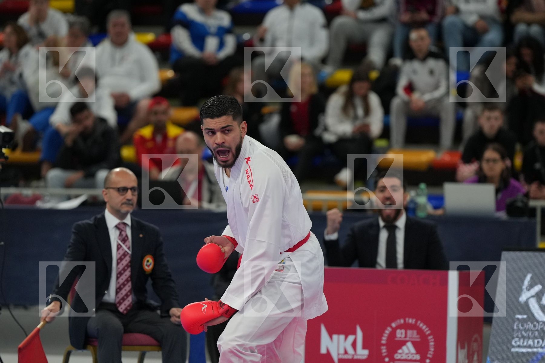 FILALI MEHDI (FRANCE) vs TZANOS GEORGIOS (GREECE) in Male Kumite 84+ Kg - Final bout