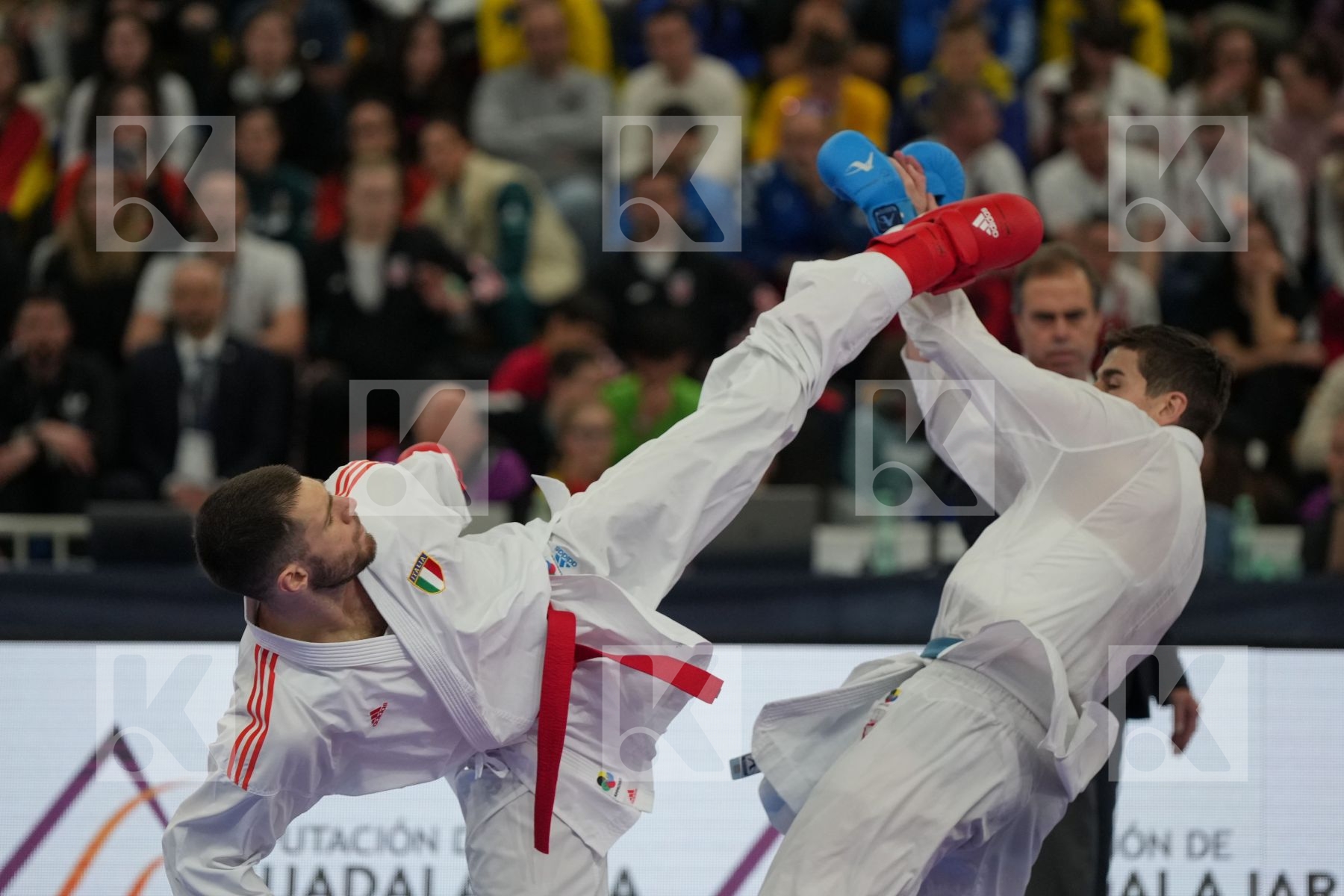 MARTINA MICHELE (ITALY) vs GARIBOVIC ENES (CROATIA) in Male Kumite -84 Kg - Final bout
