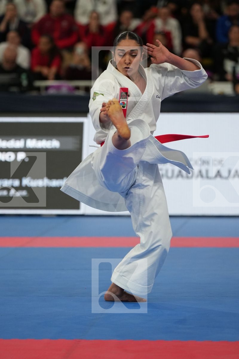 GARCIA LOZANO PAOLA (SPAIN) in Female Kata - Final bout