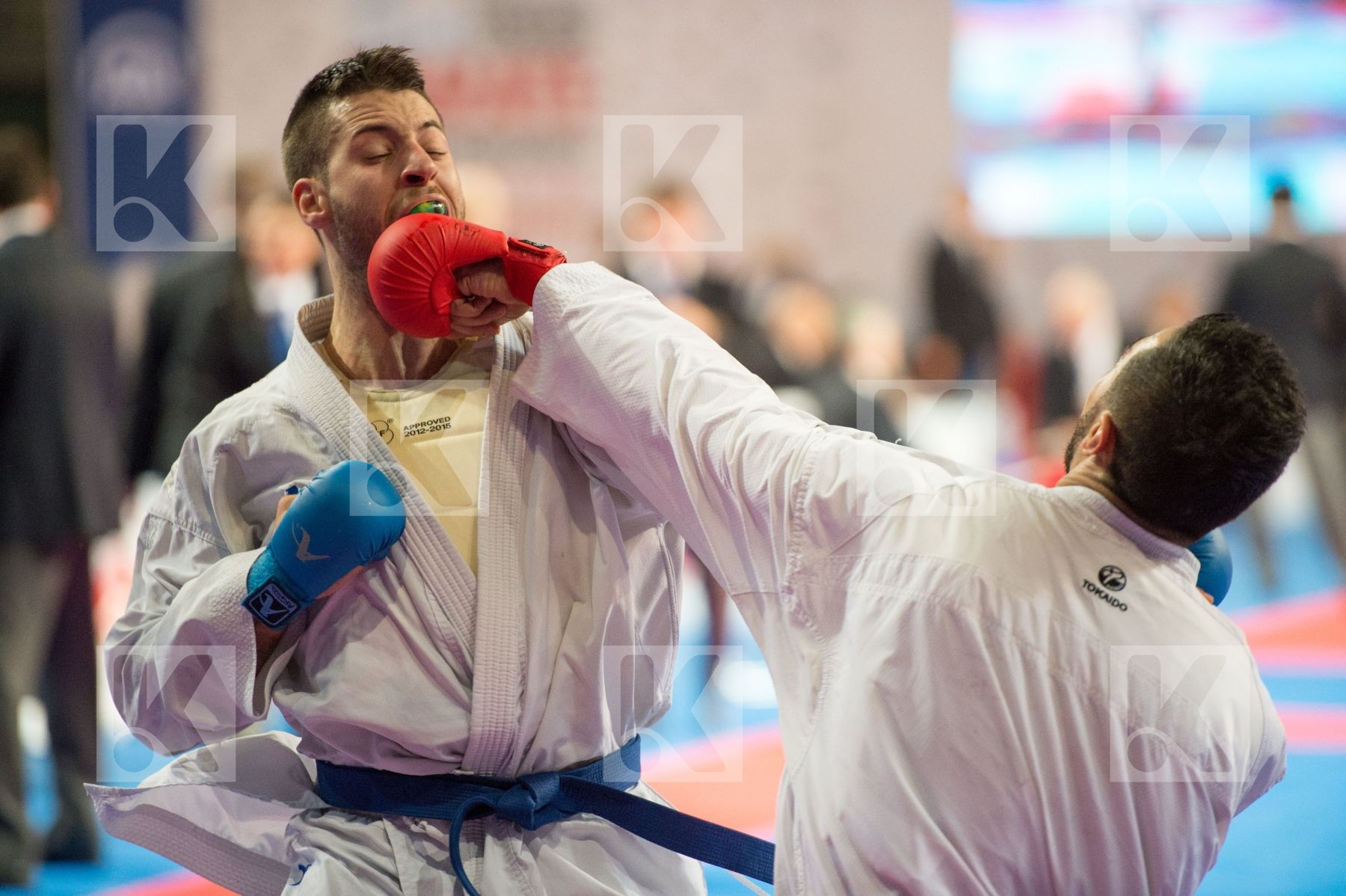 -84 kg Azerbaijan Greece kumite male Mamayev Aykhan top Tzanos G
