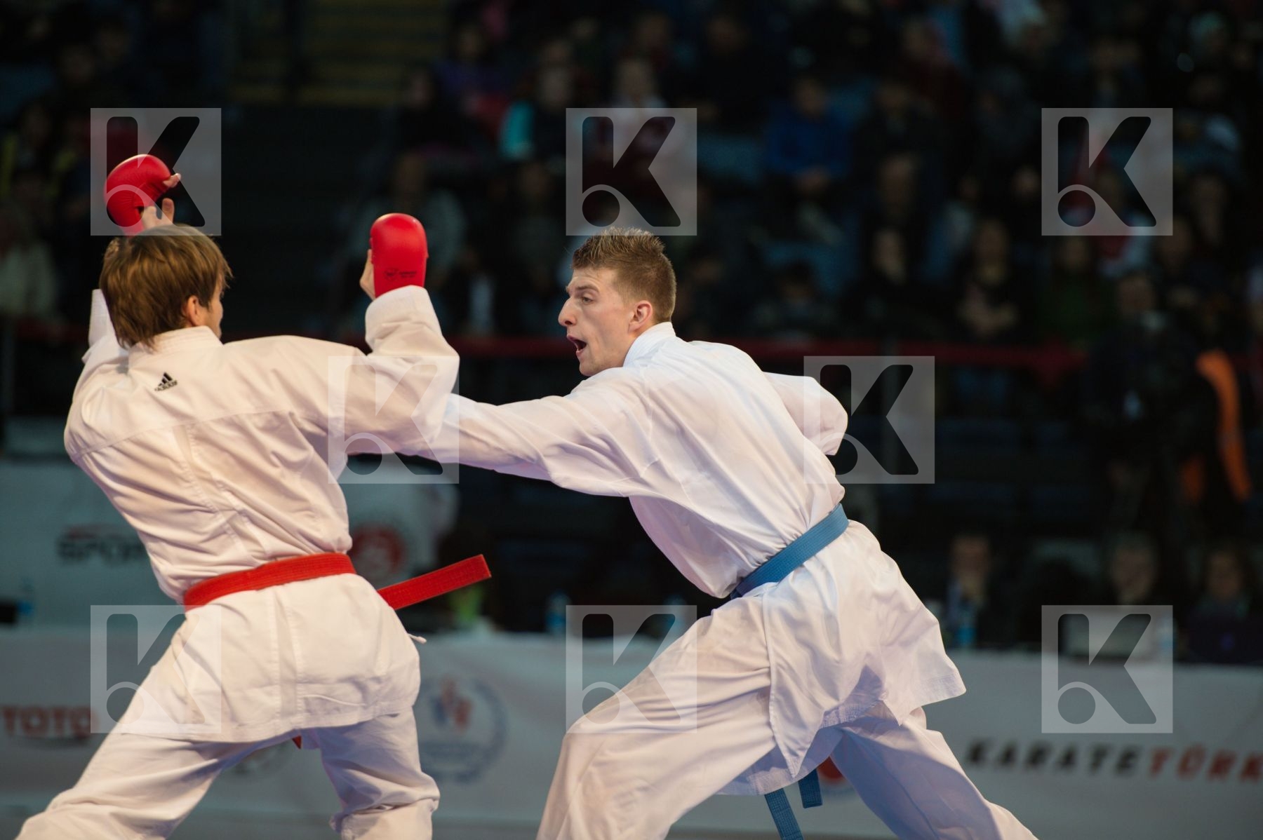 bronze match finals kumite male Netherlands Russian Federation t