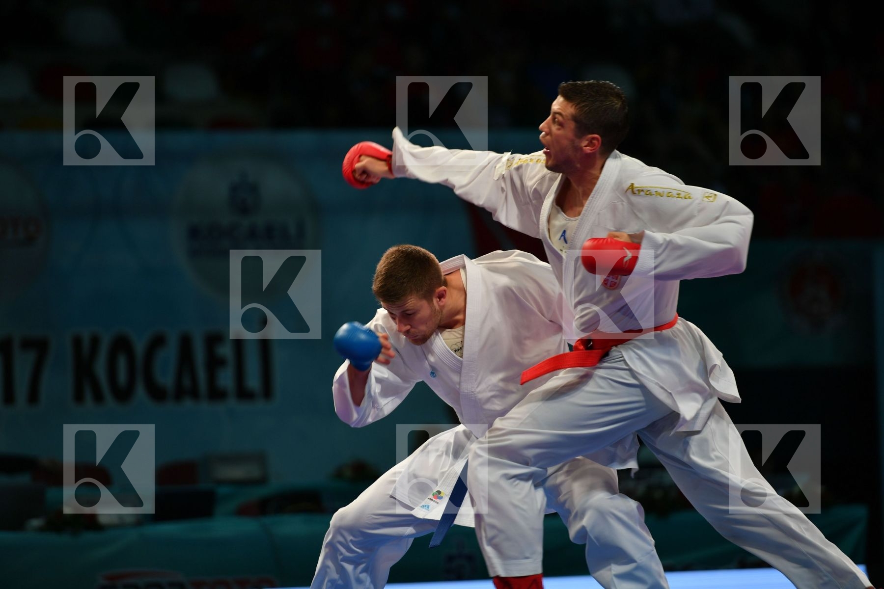 Bitevic Slobodan Hungary Male kumite 84+ kg Molnar Daniel Serbia