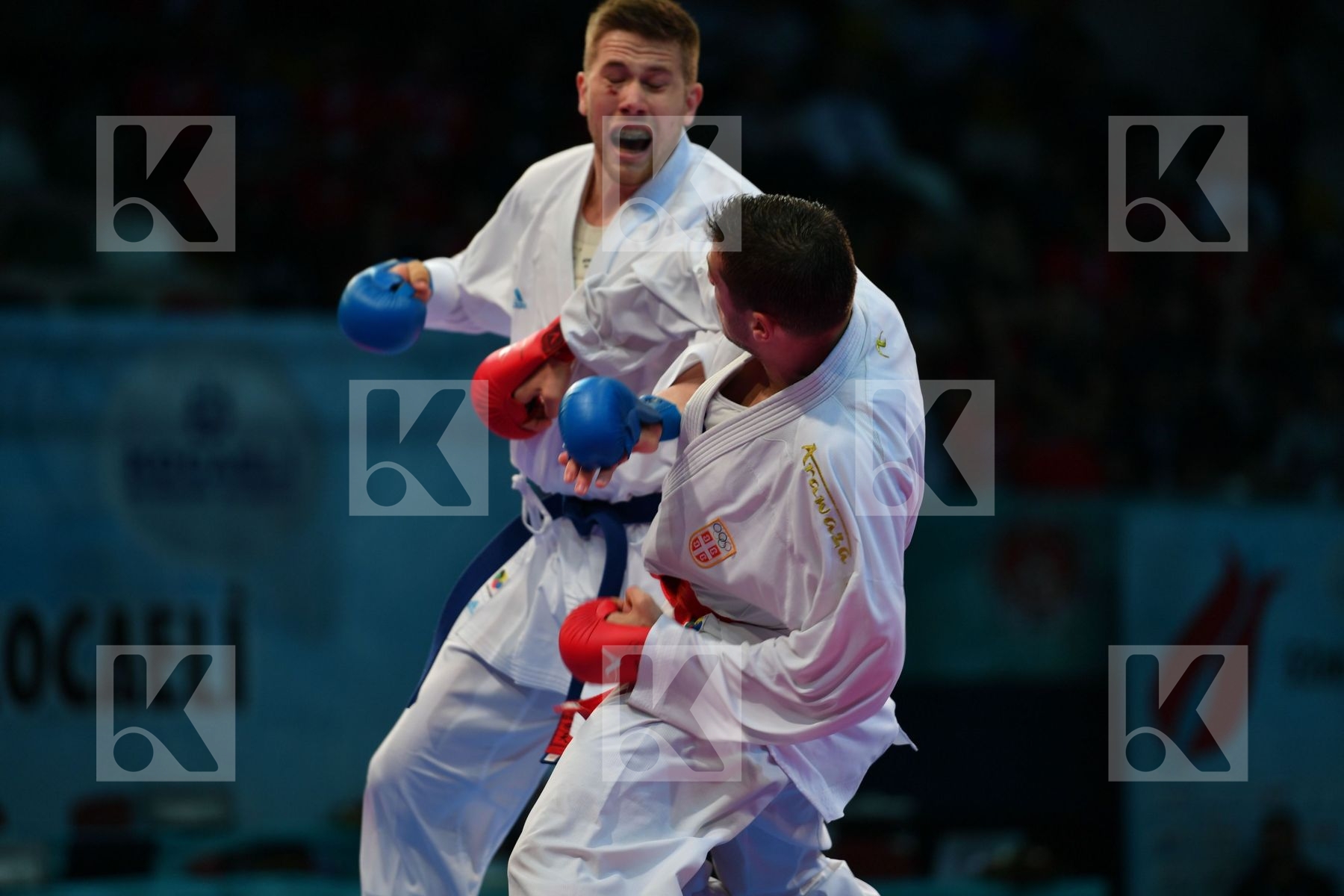 Bitevic Slobodan Hungary Male kumite 84+ kg Molnar Daniel Serbia