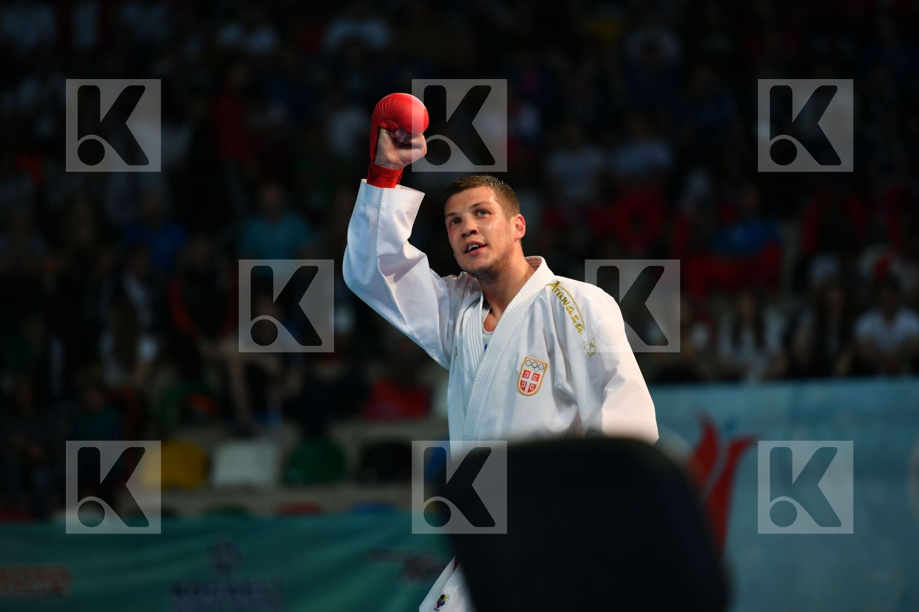Bitevic Slobodan Hungary Male kumite 84+ kg Molnar Daniel Serbia